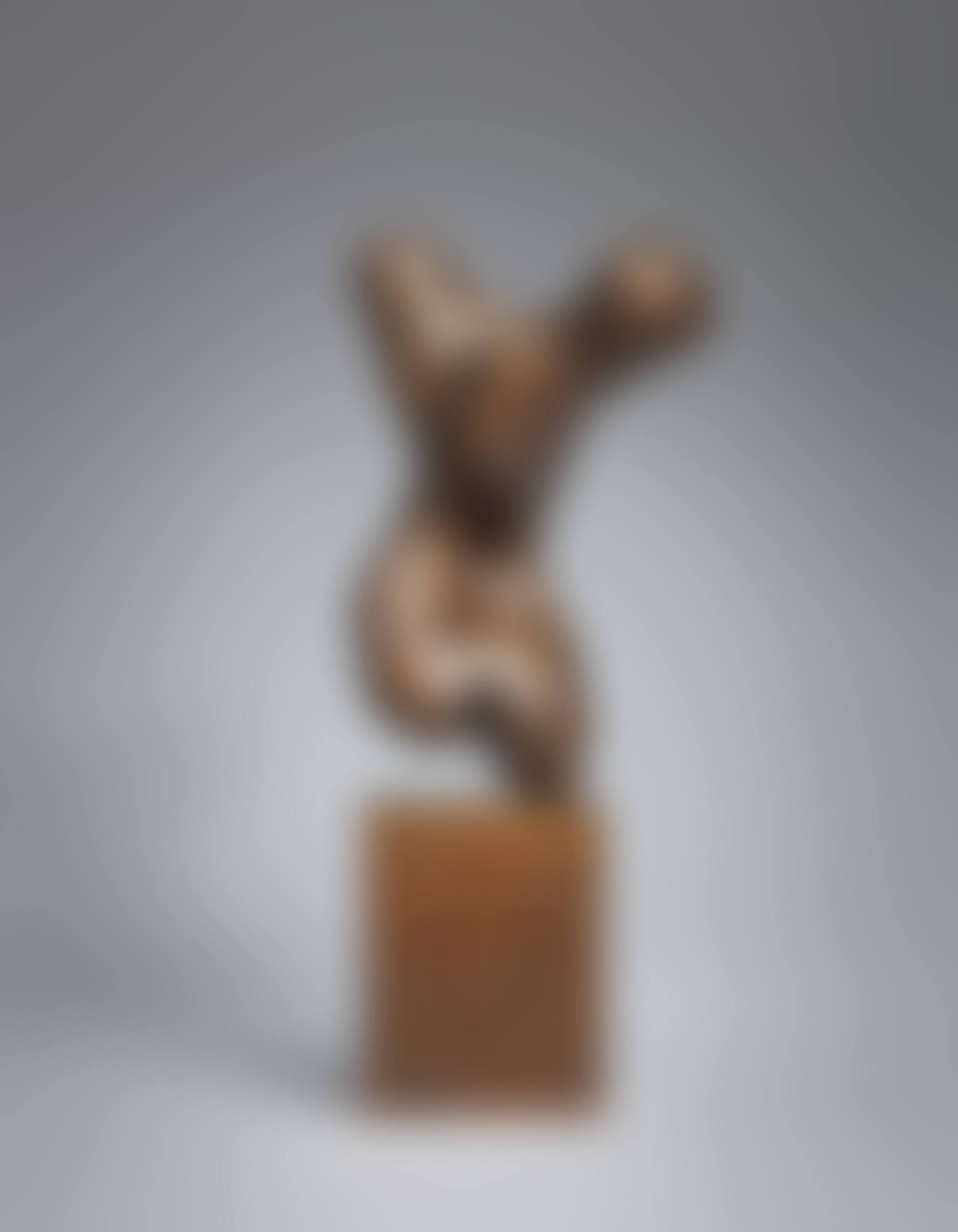 Torse (preview)