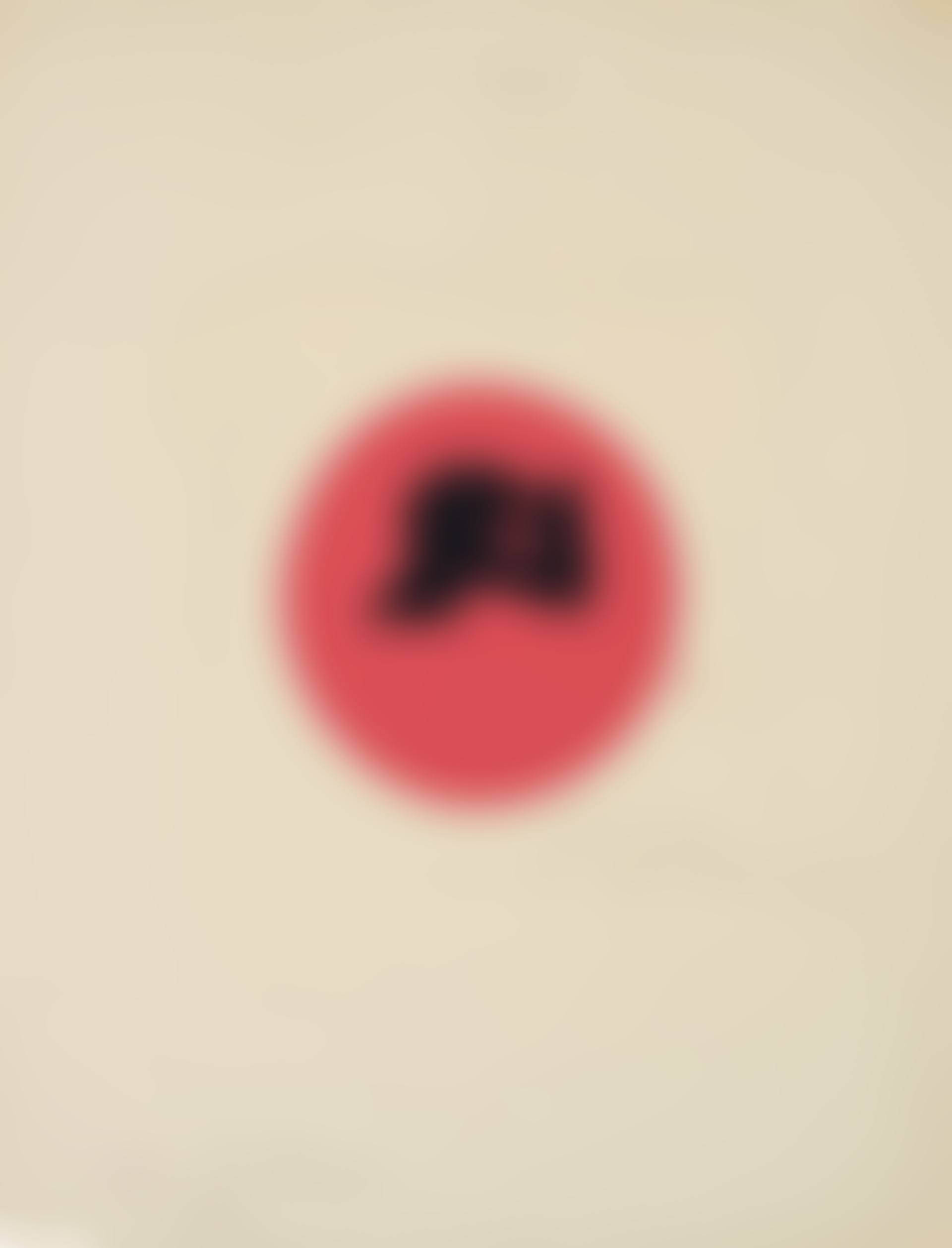 Soleil recerclé (cercle fond rouge) (preview)