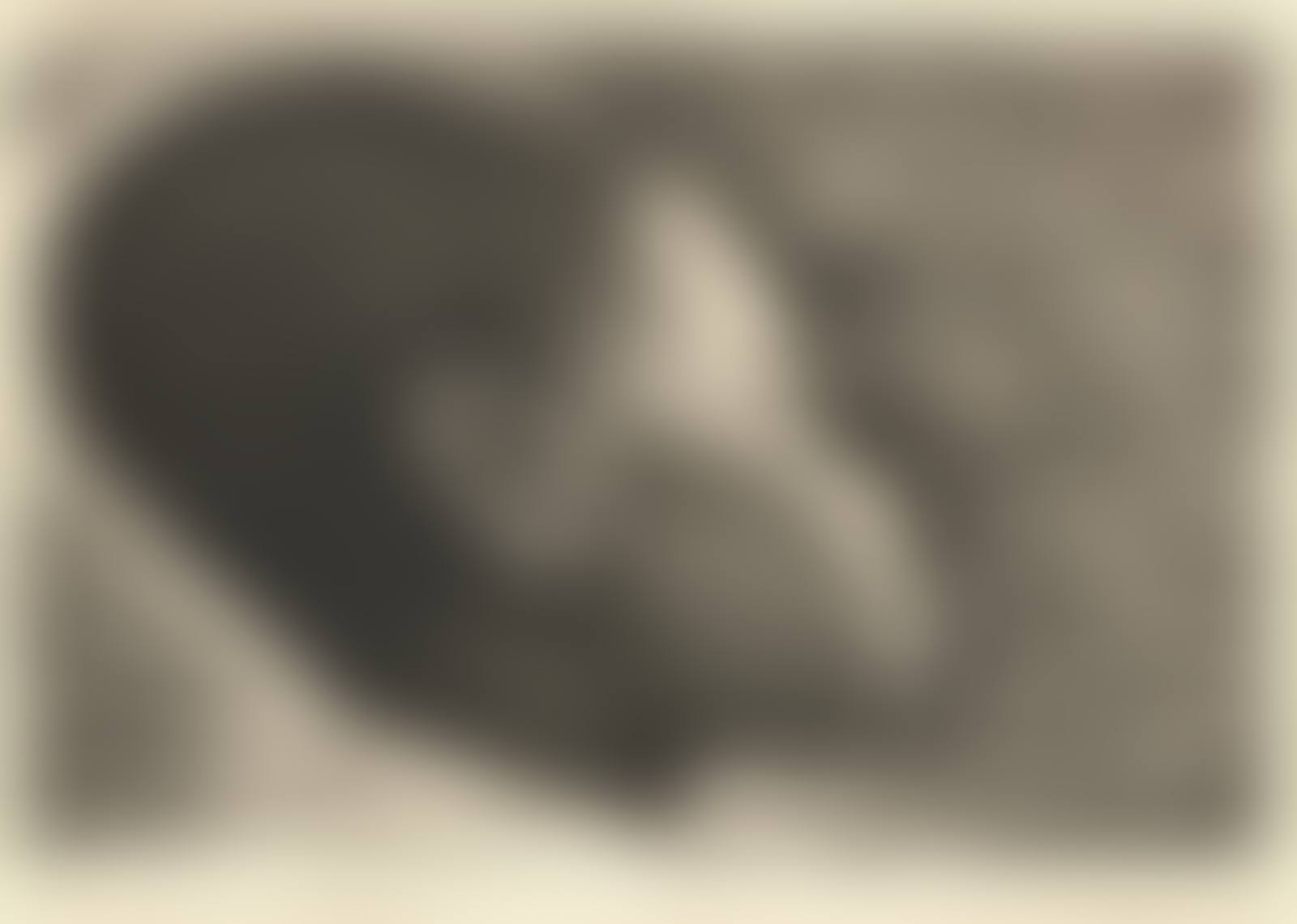Negro es Bello (Black is Beautiful) (preview)