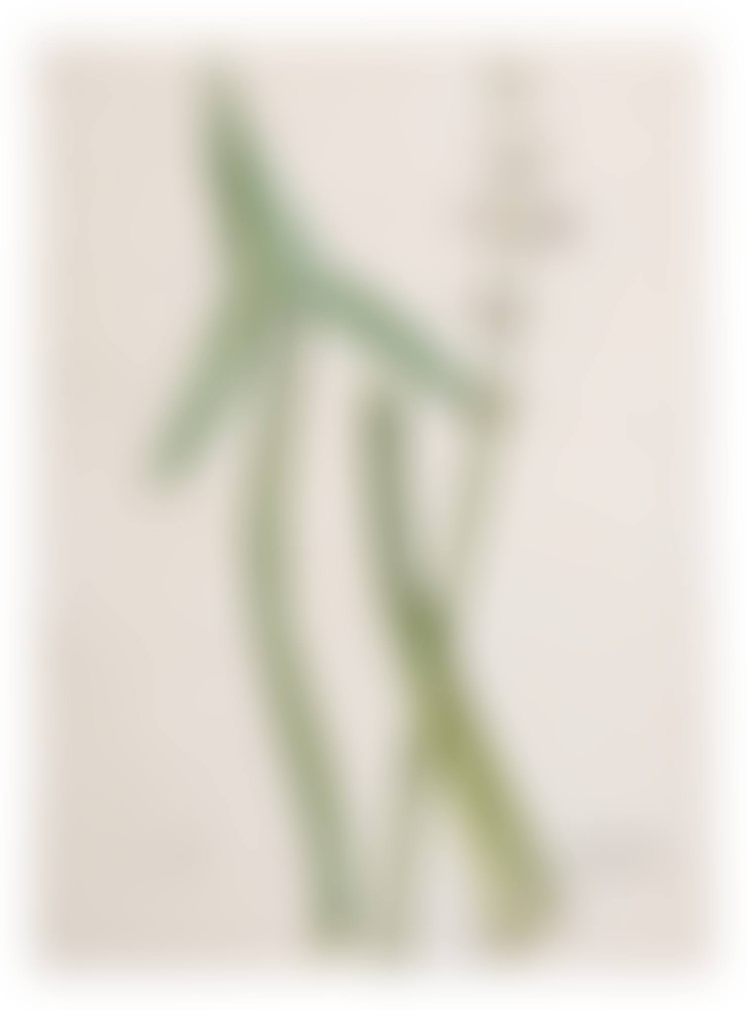 SAGITTARIA SAGITTIFOLIA (SAGITTAIRE EN&nbsp;FLÈCHE) (preview)