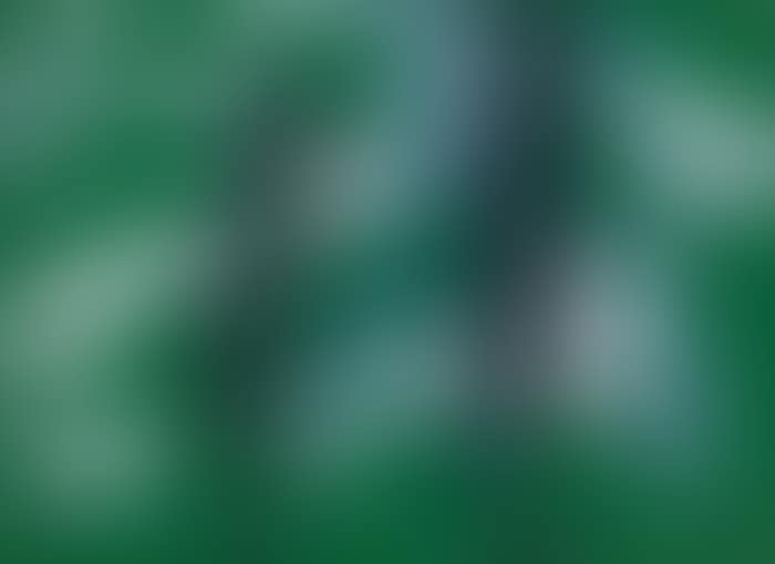 Untitled (preview)