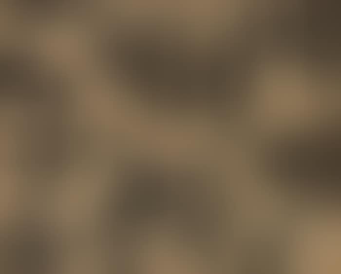 Recurrence (preview)