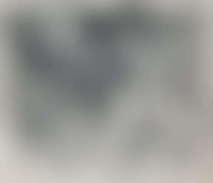 With Winds (preview)