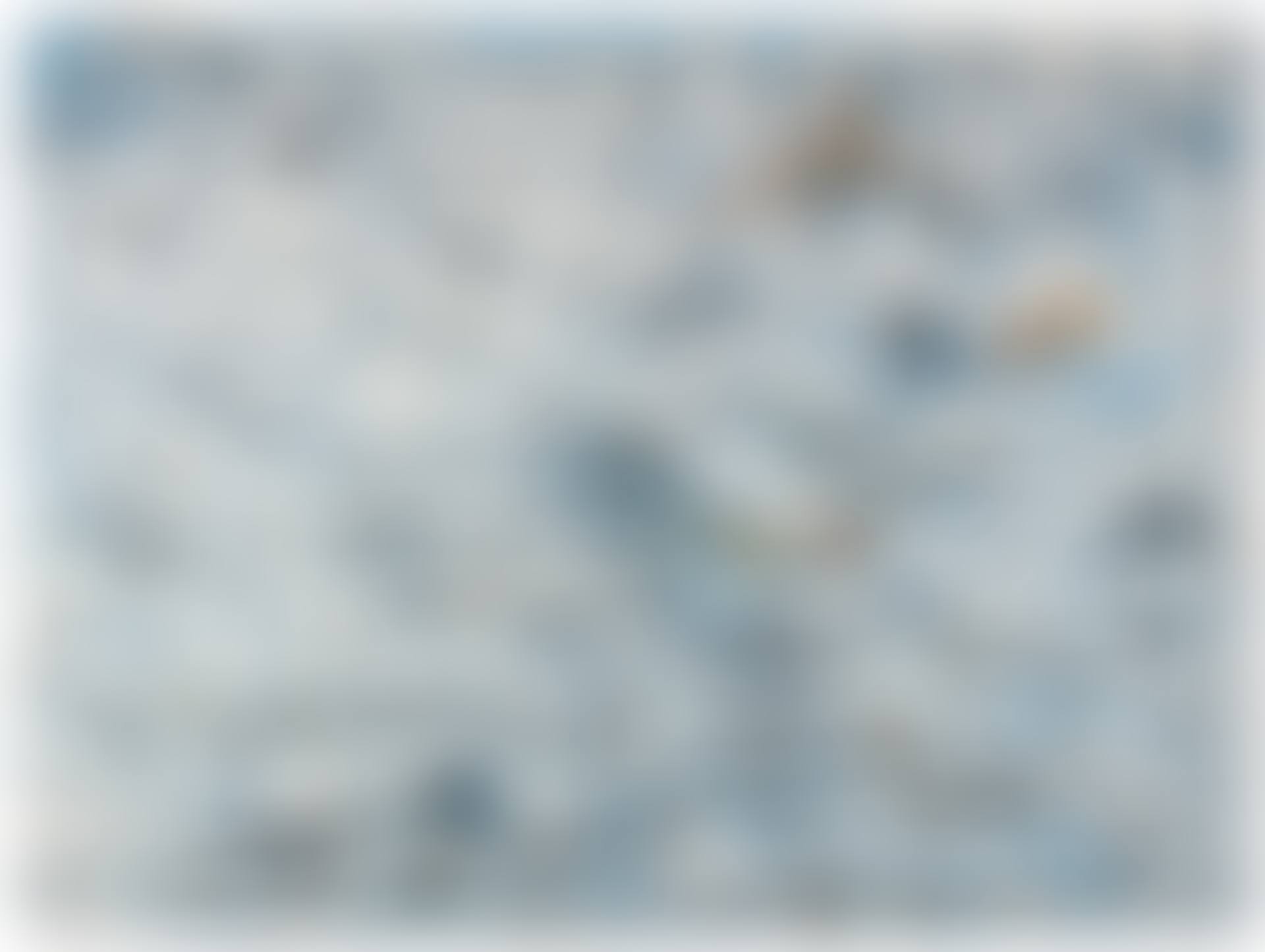 Cap de Boc Marinat (preview)