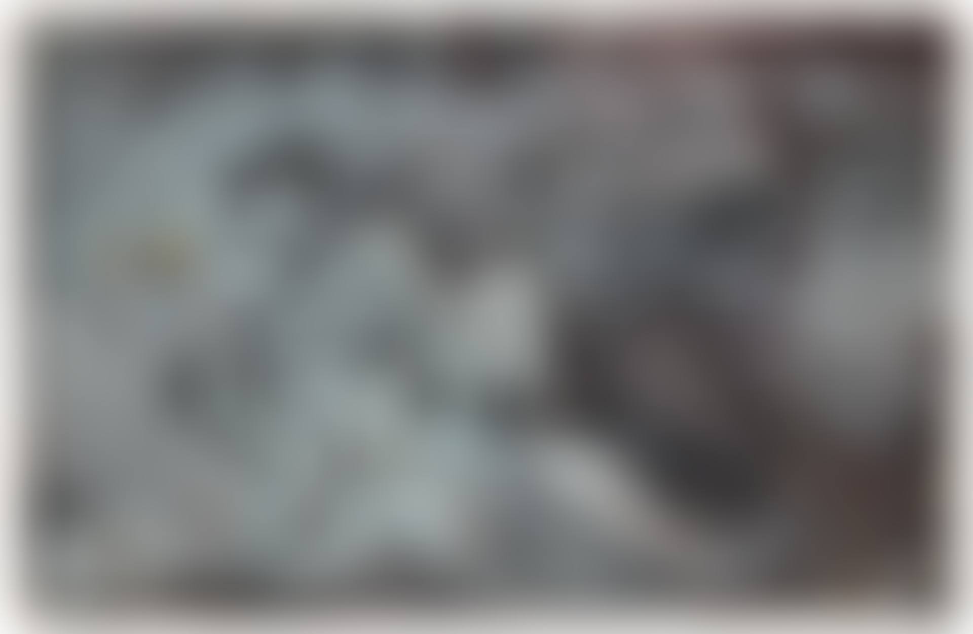 La Rosa Blanca (The White Rose) (preview)
