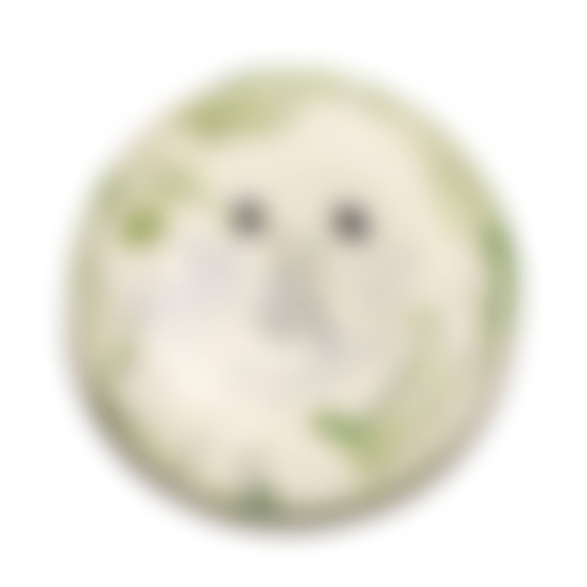 VISAGE (preview)