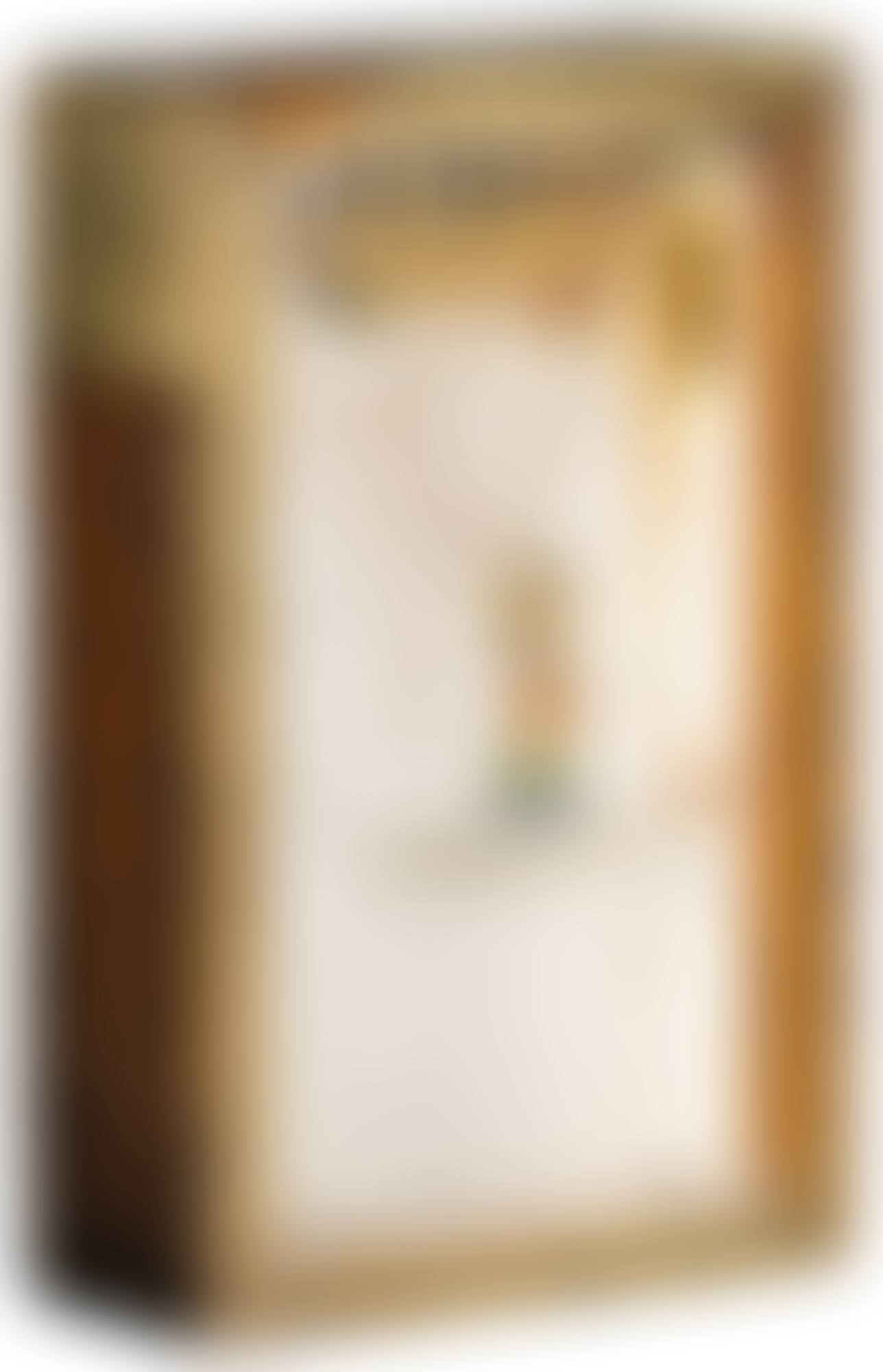 HÔTEL DU CHARIOT D'OR (PETROLEUM SPLENDOR) (preview)