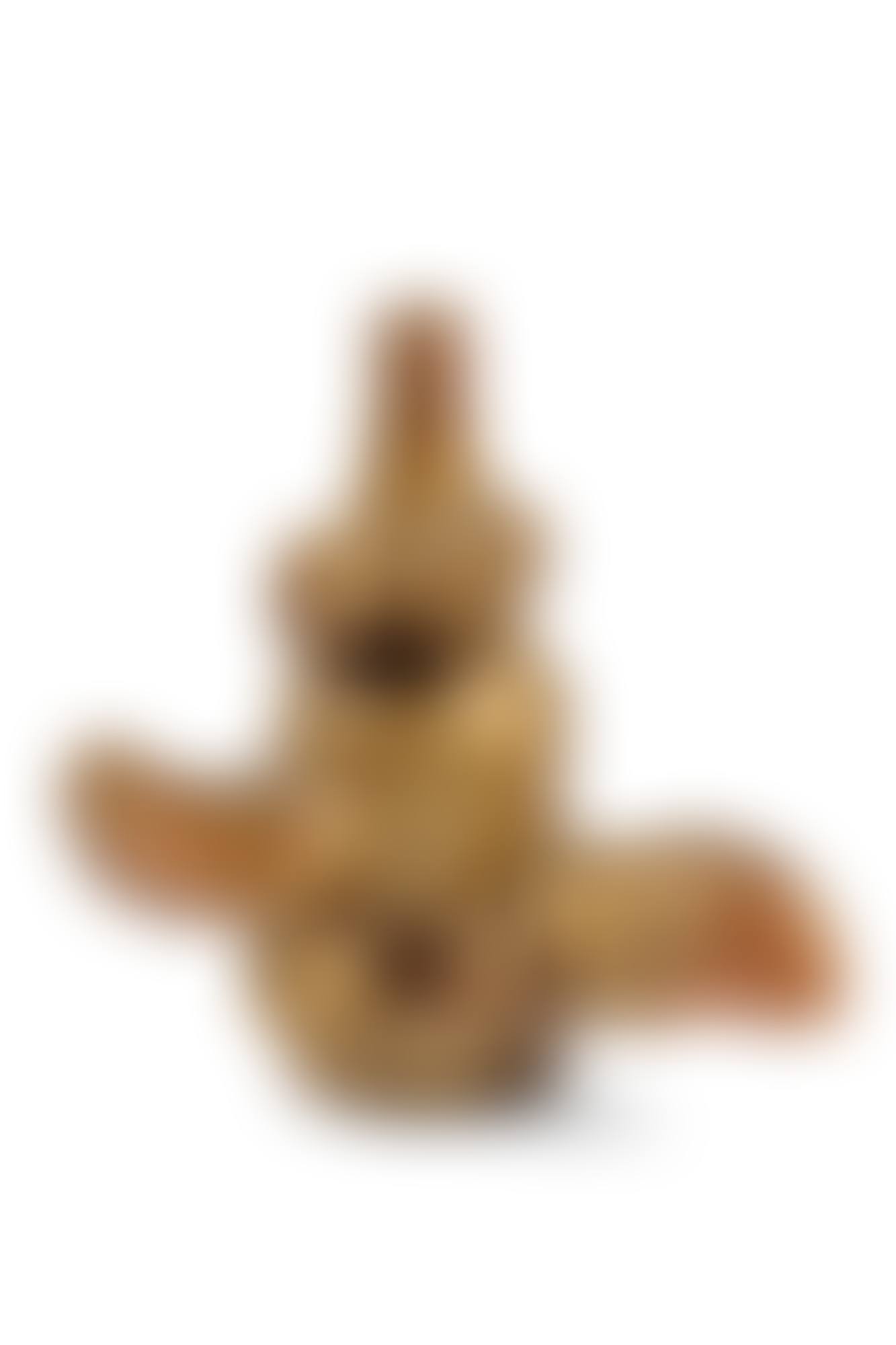 Untitled (Phallus Bottle) (preview)