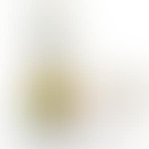 1. Oval (Peter Norton Christmas Project 2000)／2. OVAL # 03 (preview)