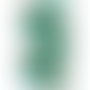 S. VERT (preview)