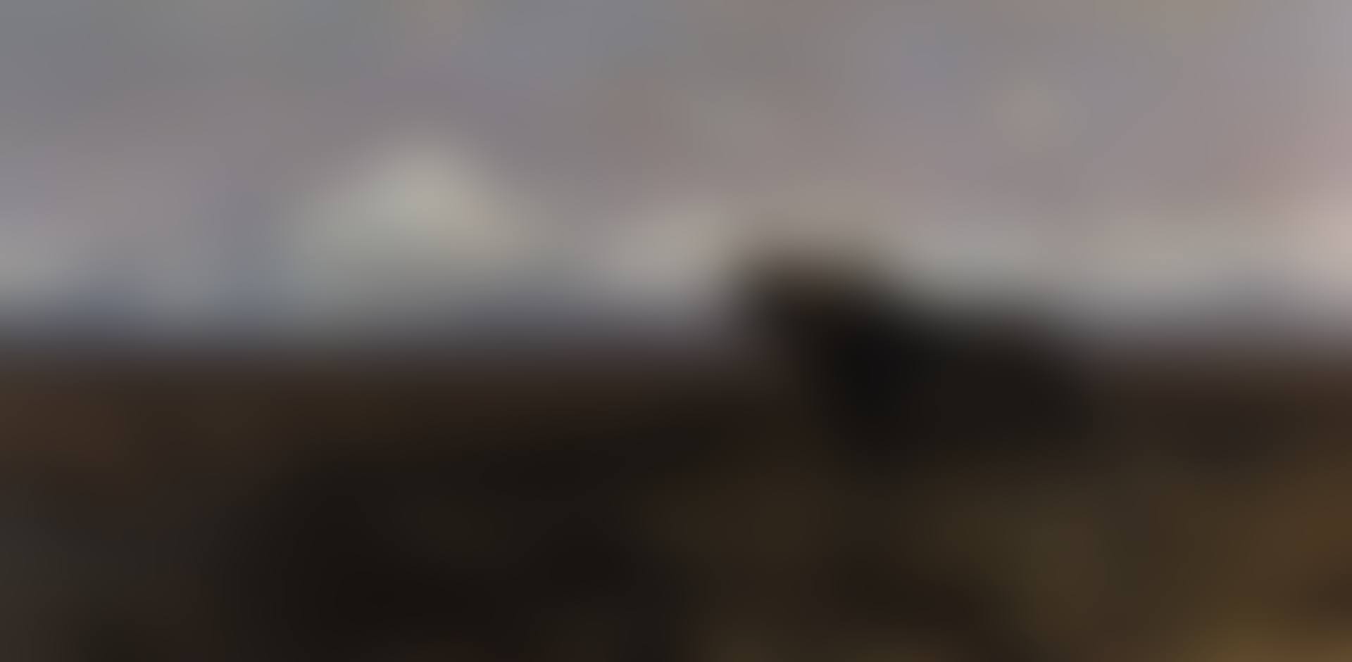 IN THE MARSH - A CAPE BUFFALO (preview)