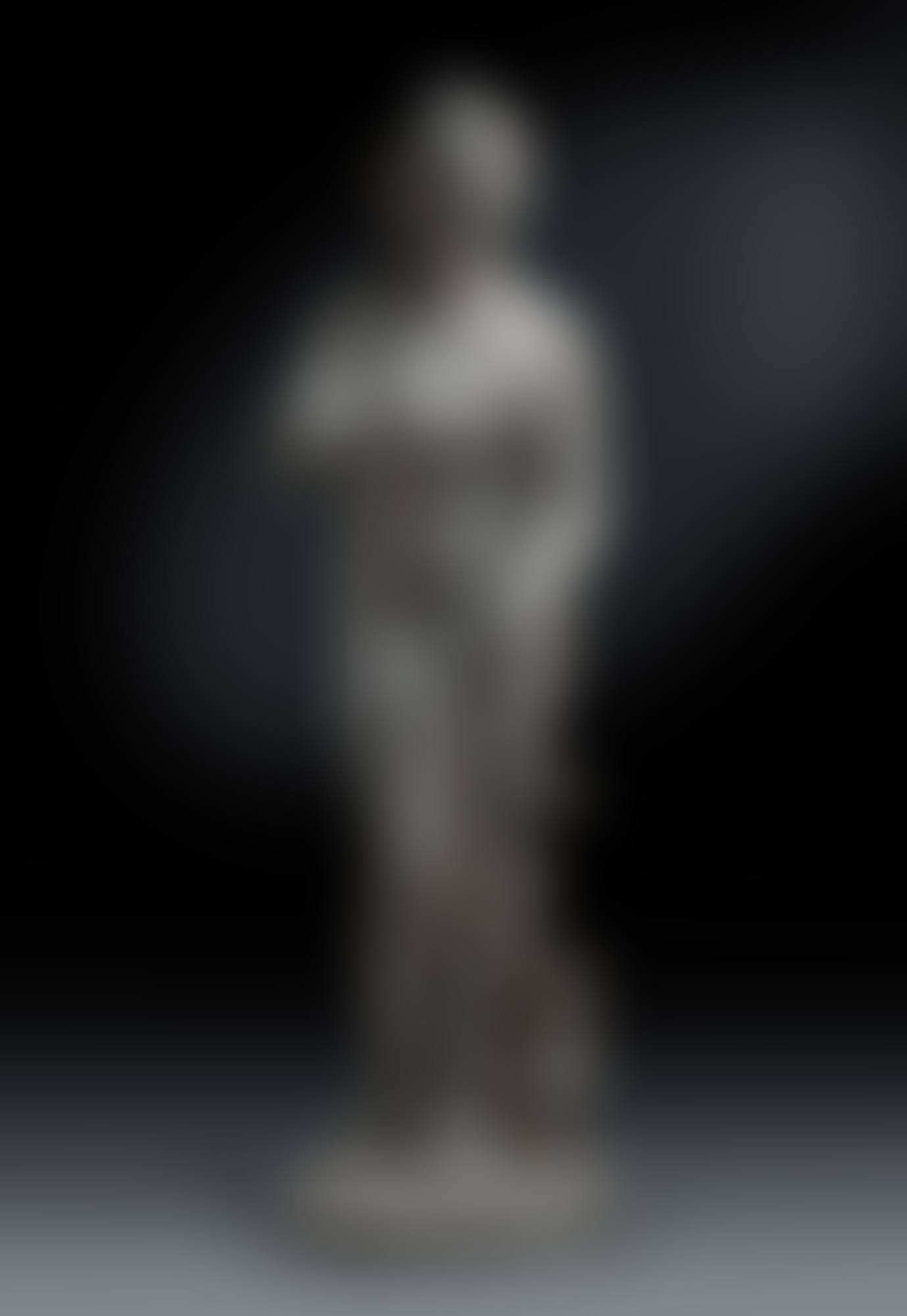 VENUS DE' MEDICI (preview)