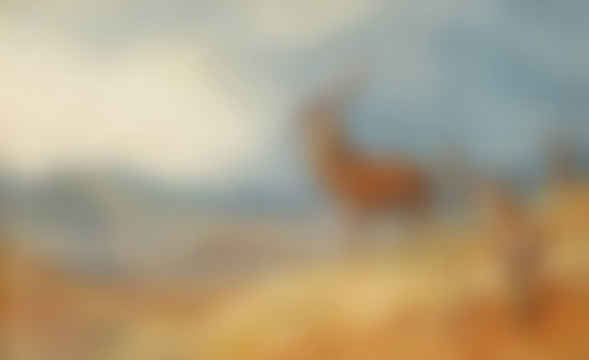 RED DEER IN A HIGHLAND LANDSCAPE (preview)