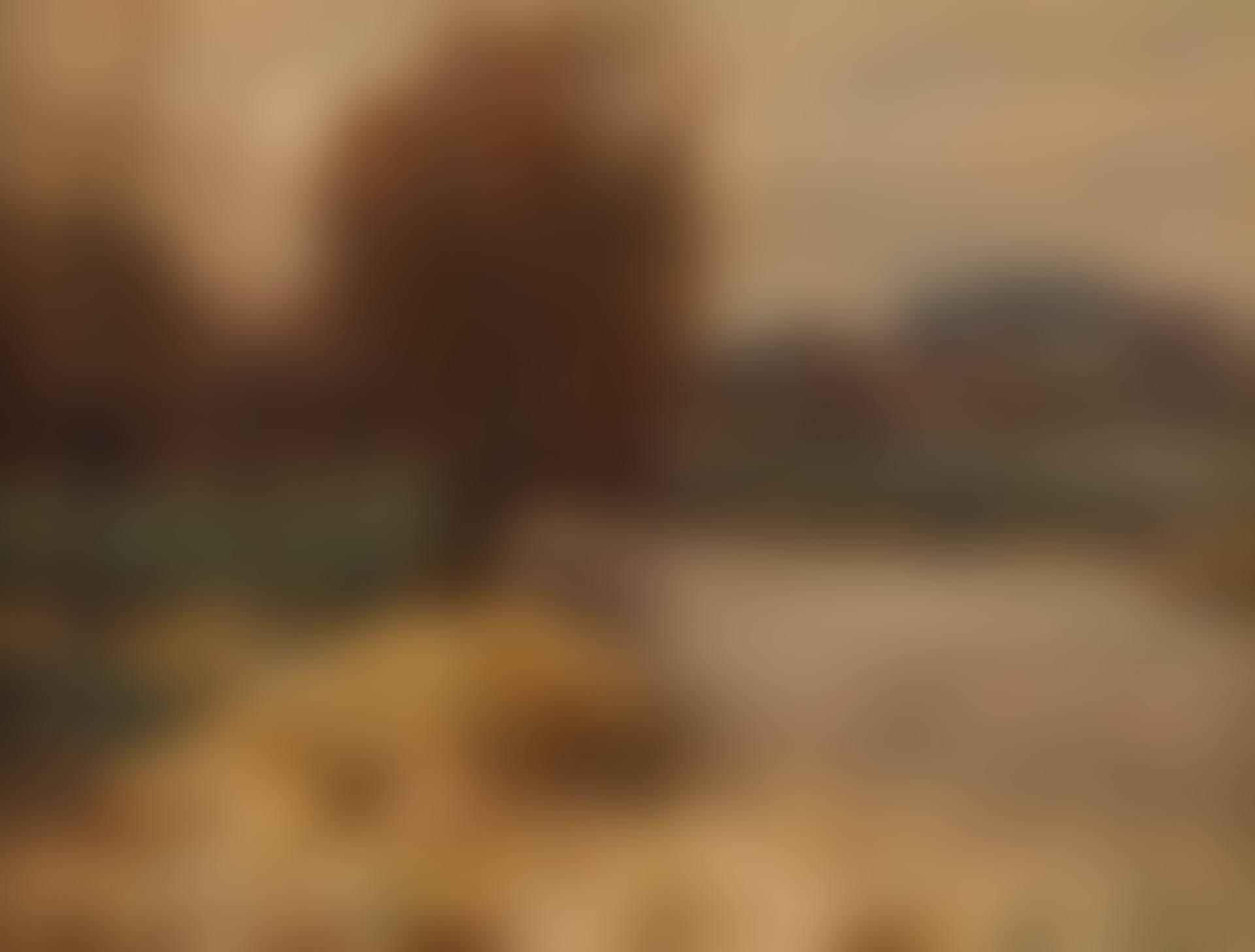 WINTER LANDSCAPE (preview)