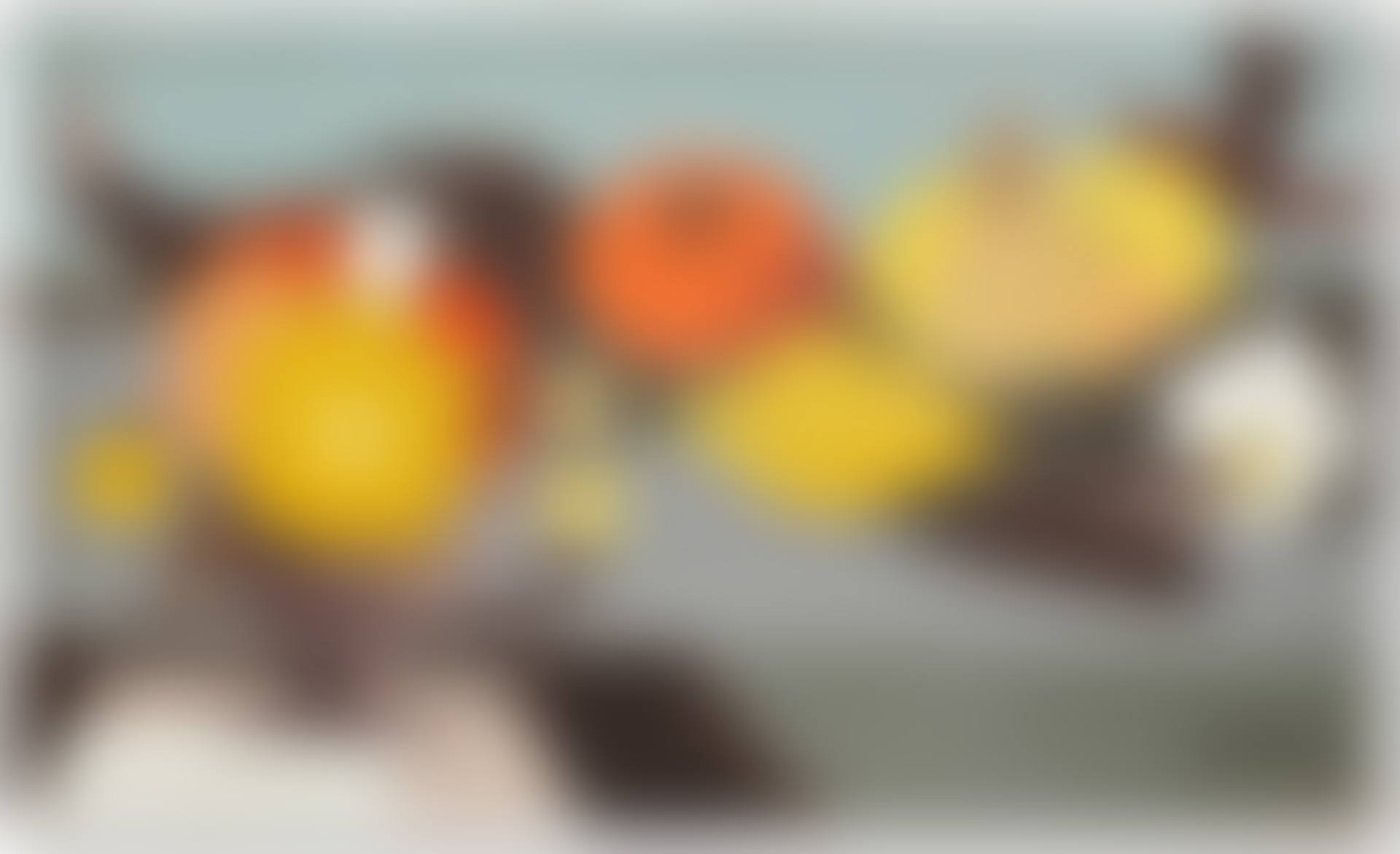 Fruits (preview)