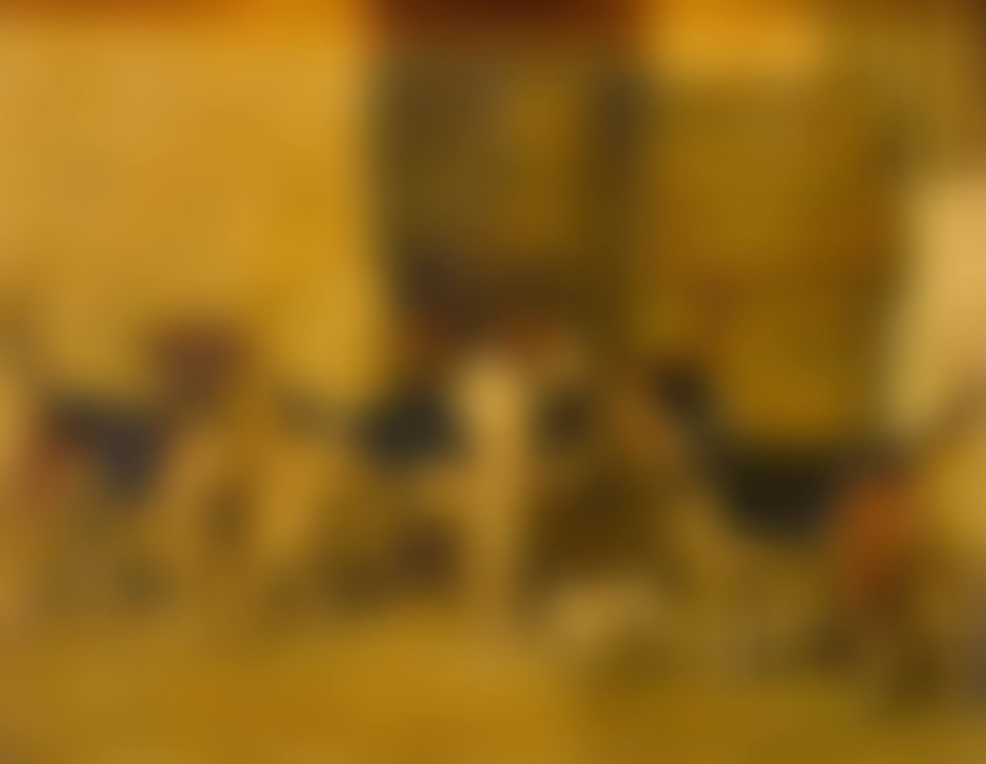 FOX HOUNDS AND A TERRIER (preview)