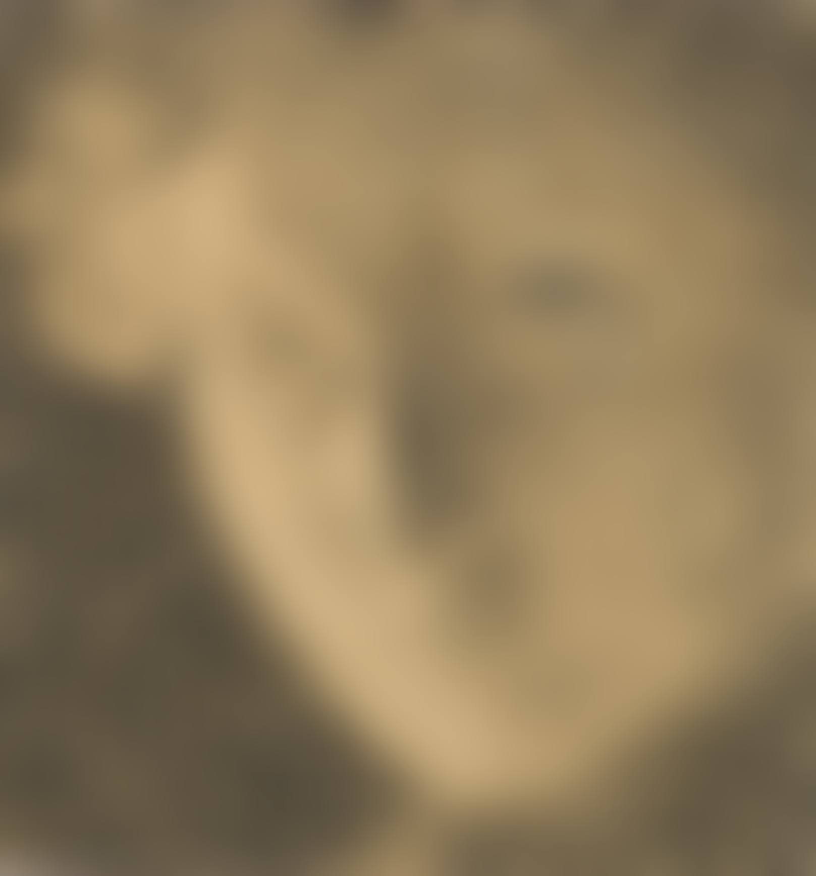 AUTOPORTRAIT (preview)