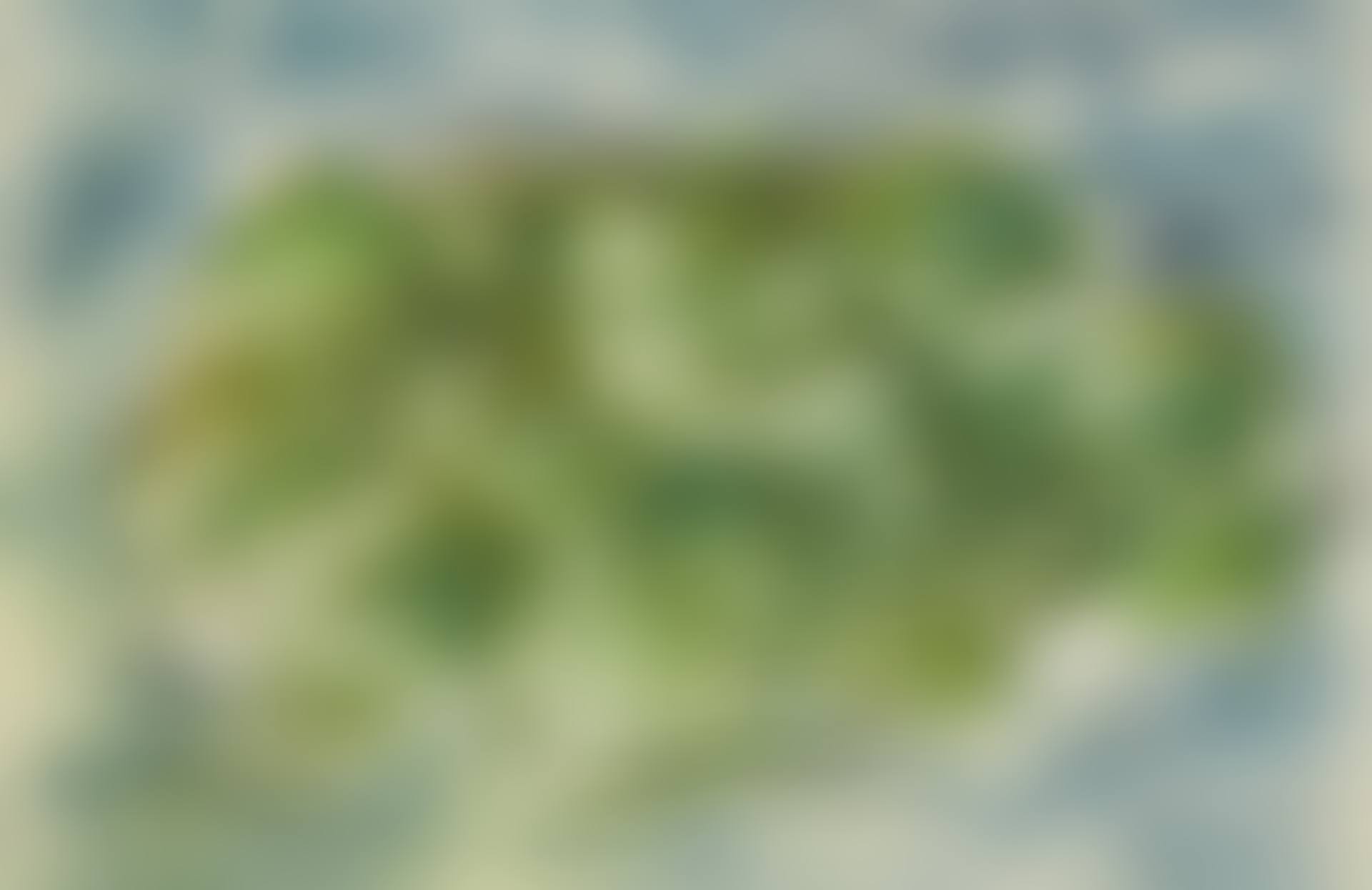 FROG POND (preview)