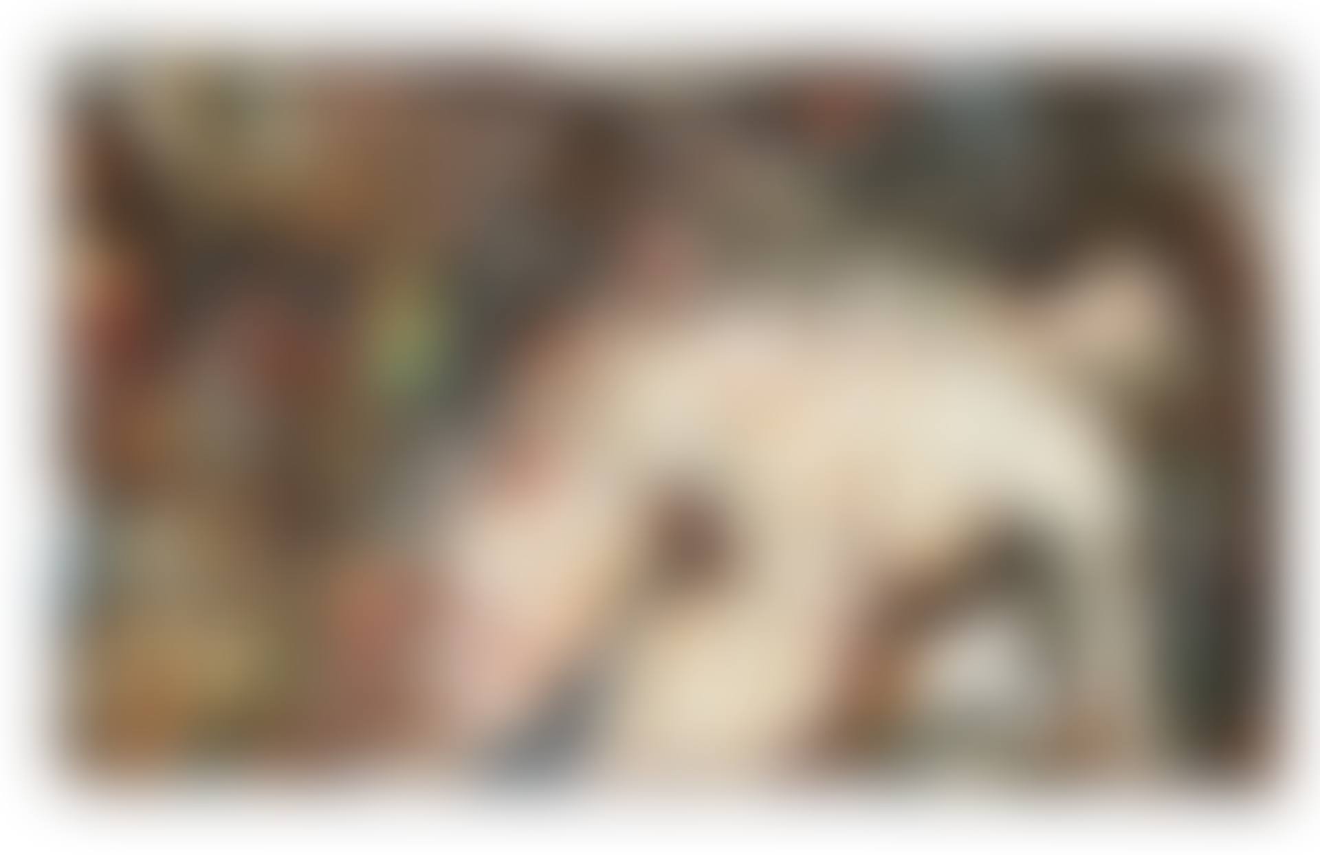 NU COUCHÉ (preview)