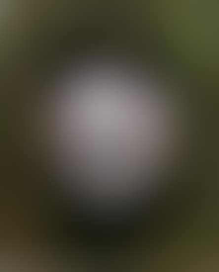 Pele-Soccer Ball (from Football Players series) (preview)