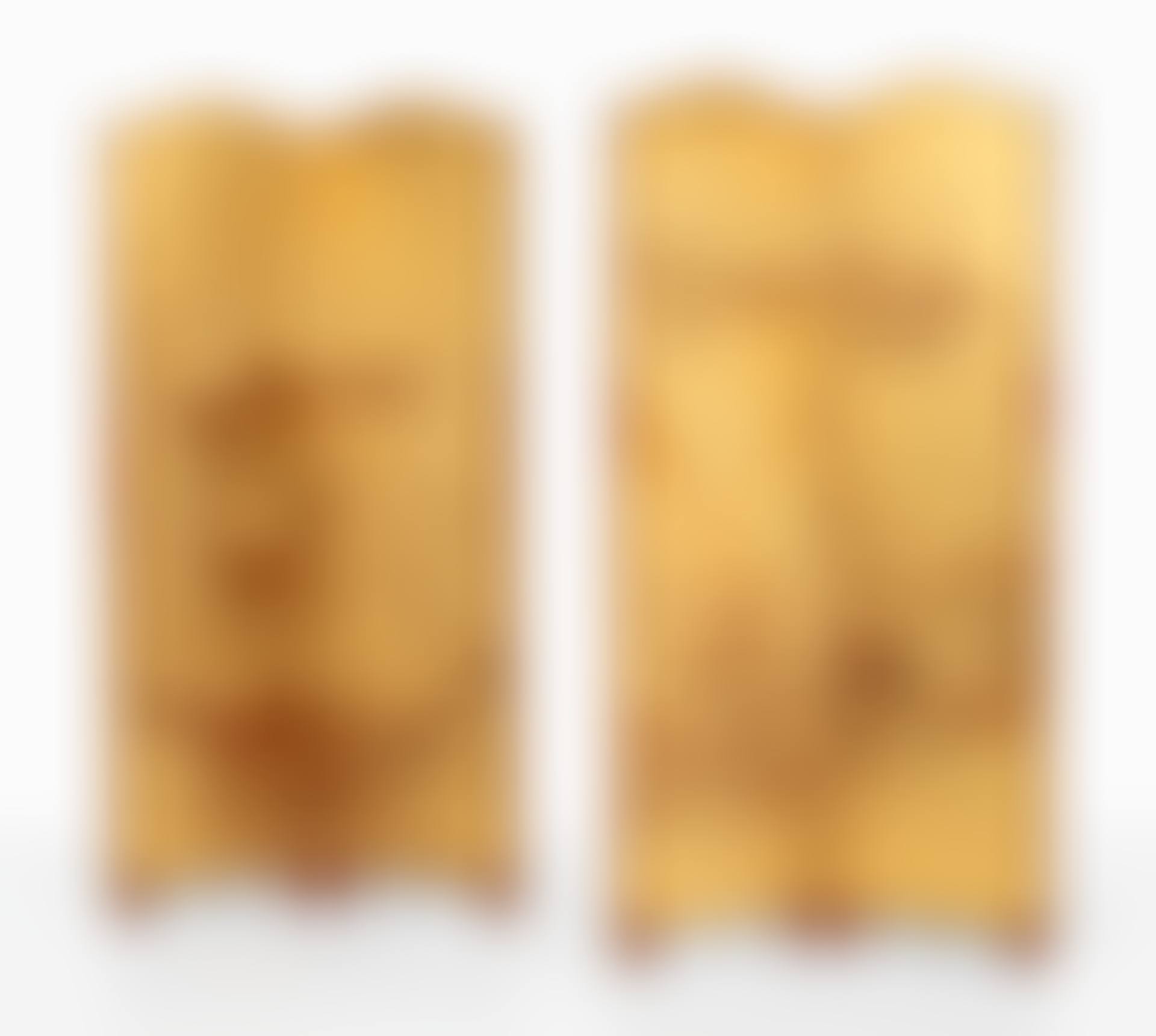 PAIR OF SPATULES-YVAN PANEL SCREENS  (preview)