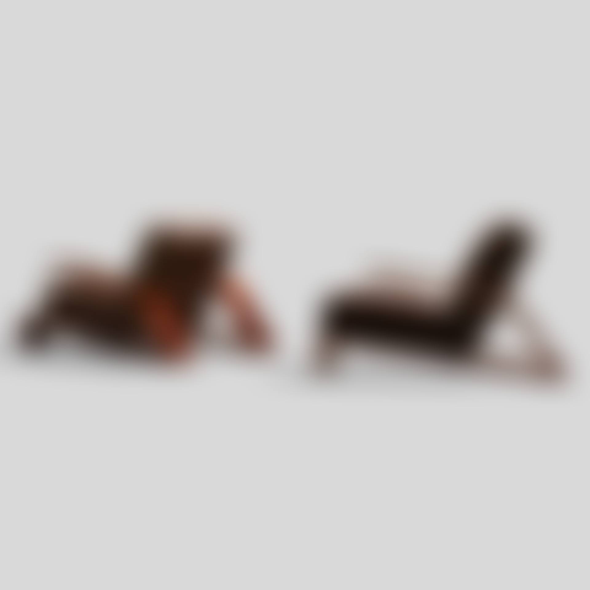 Elephant lounge chairs, pair (preview)