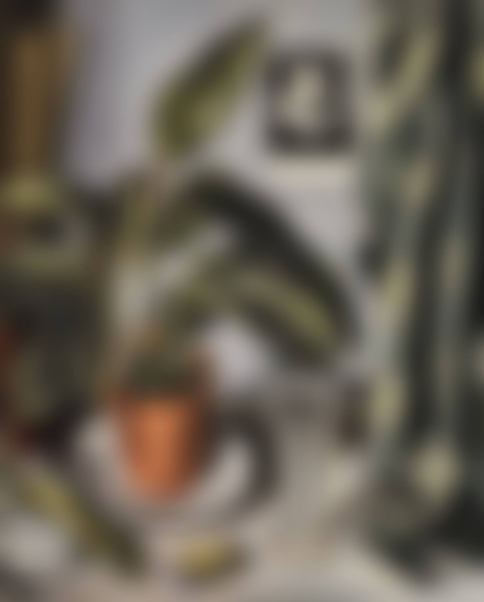 PLANTE GRASSE ET FIOLE (preview)
