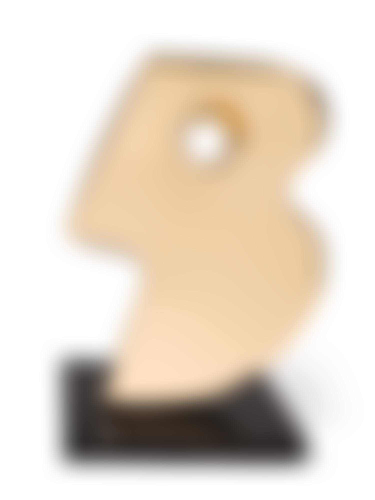 TROPHY (FLIGHT) (preview)