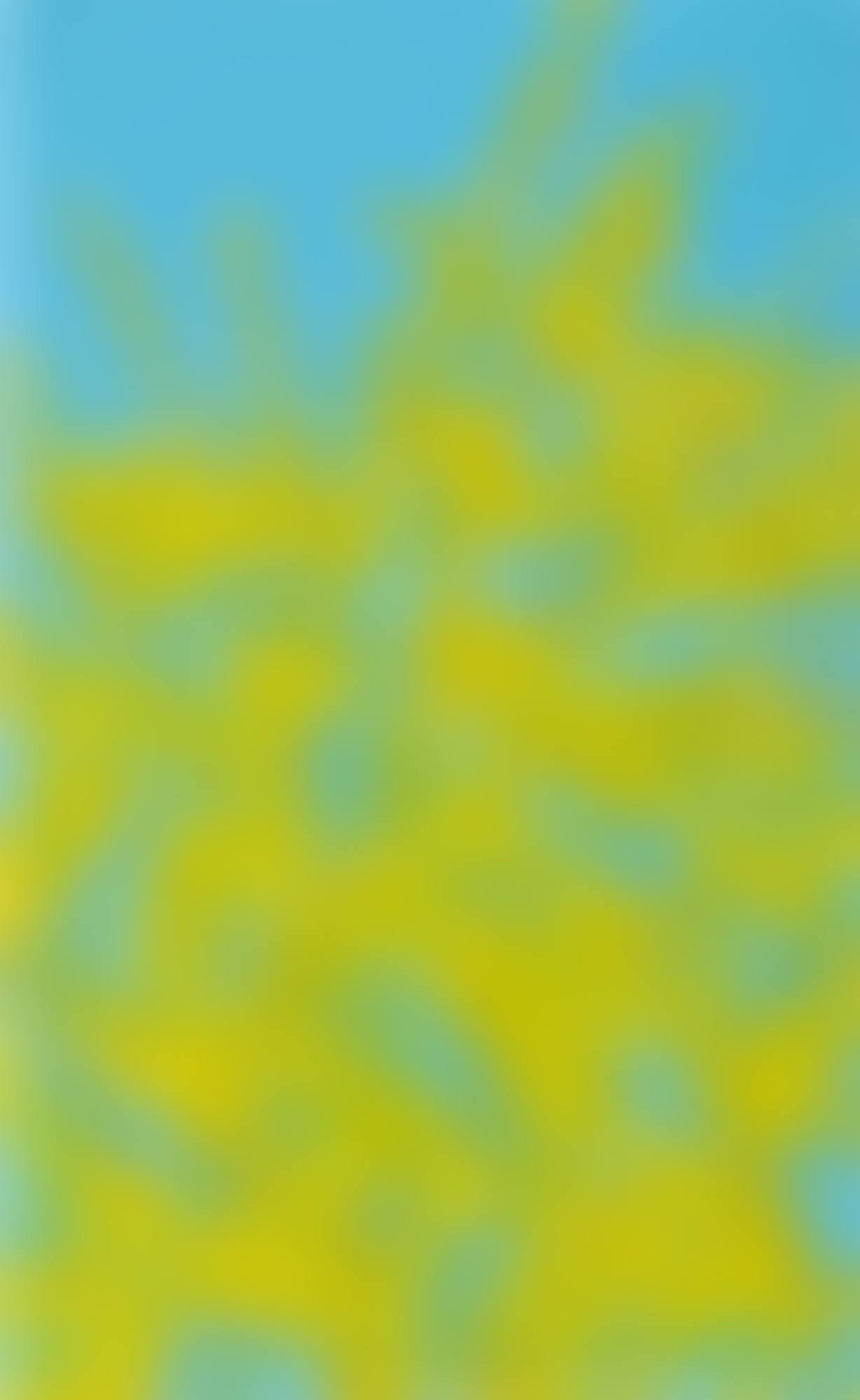 FORSYTHIA  (preview)