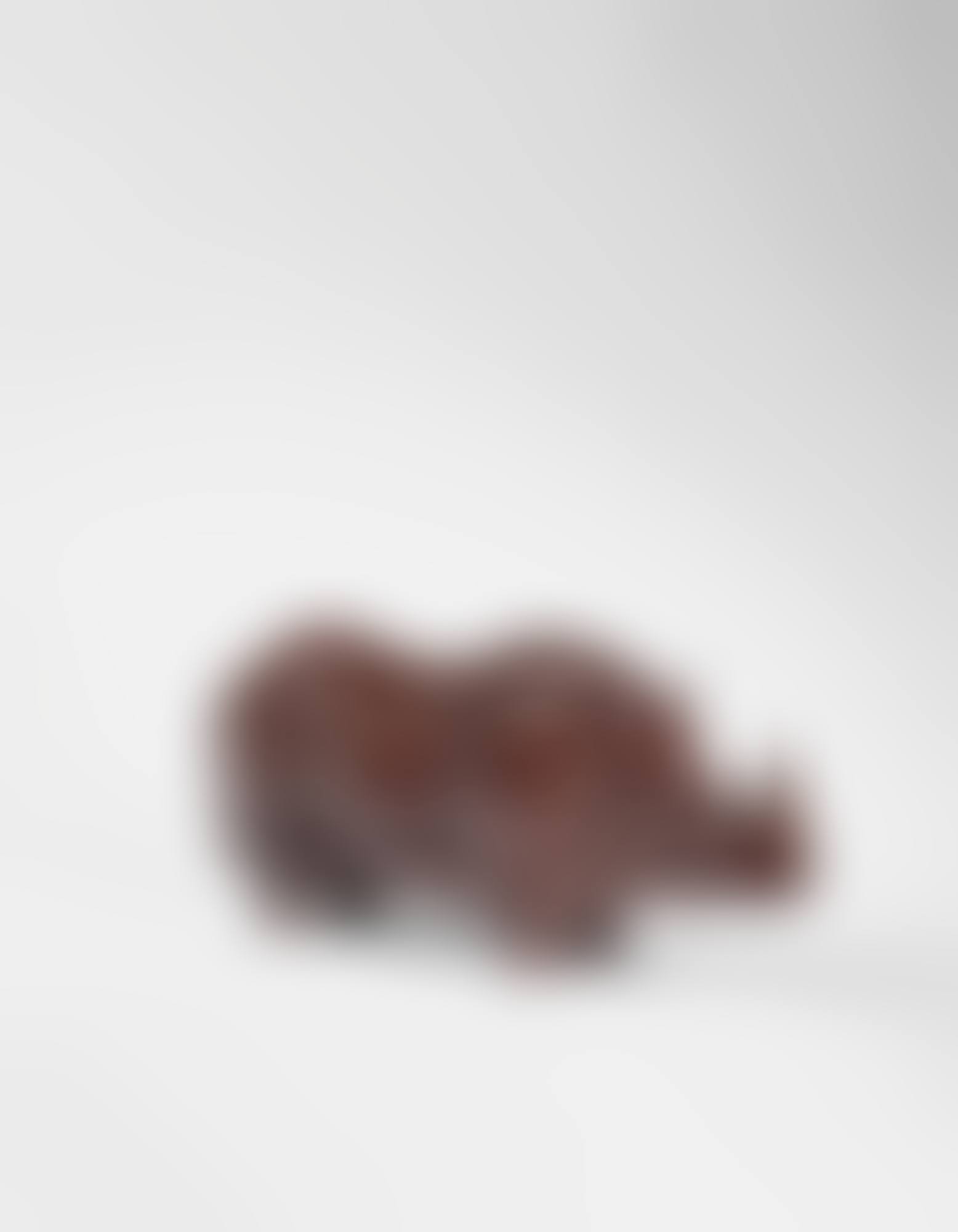 'RHINOCÉROS IV' (preview)