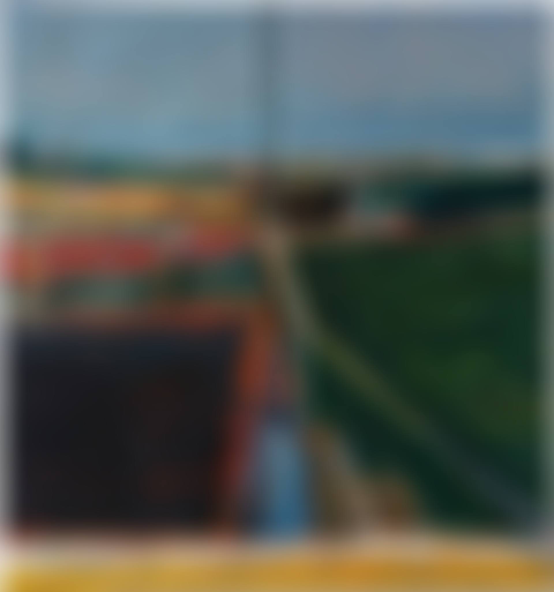 VIEW FROM A PORCH  (preview)