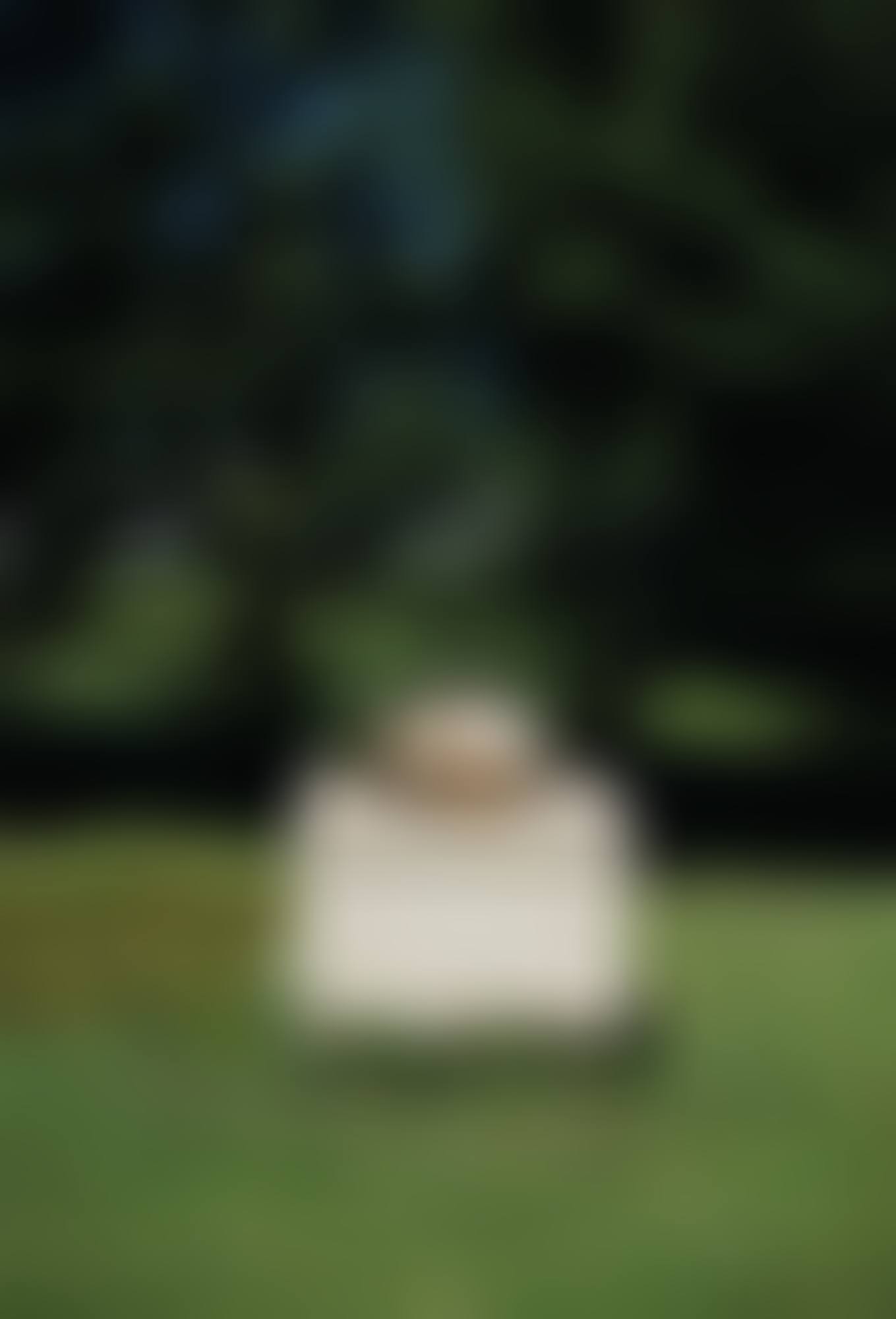'FONTAINE PLEUREUSE' (preview)