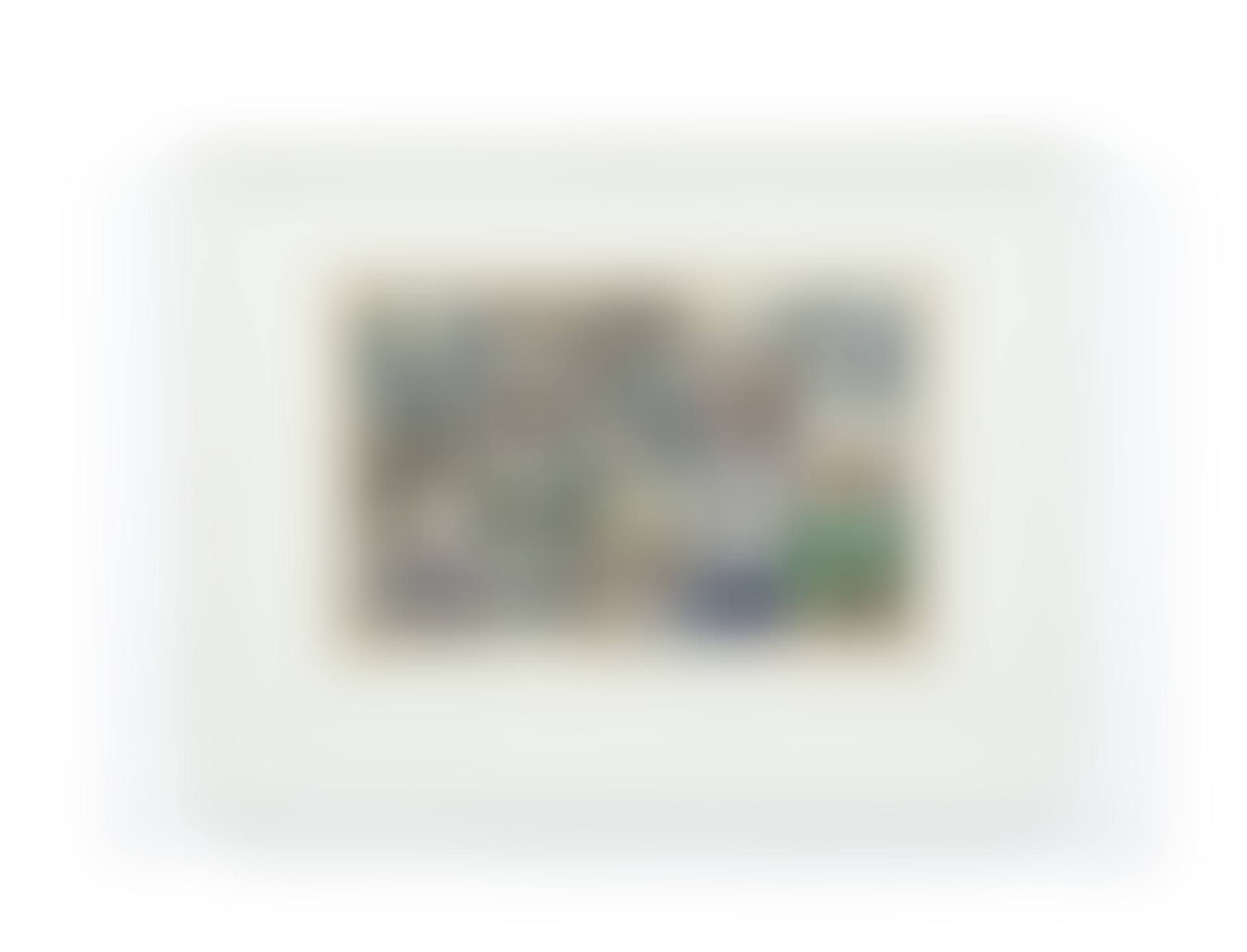 Agamographie (preview)