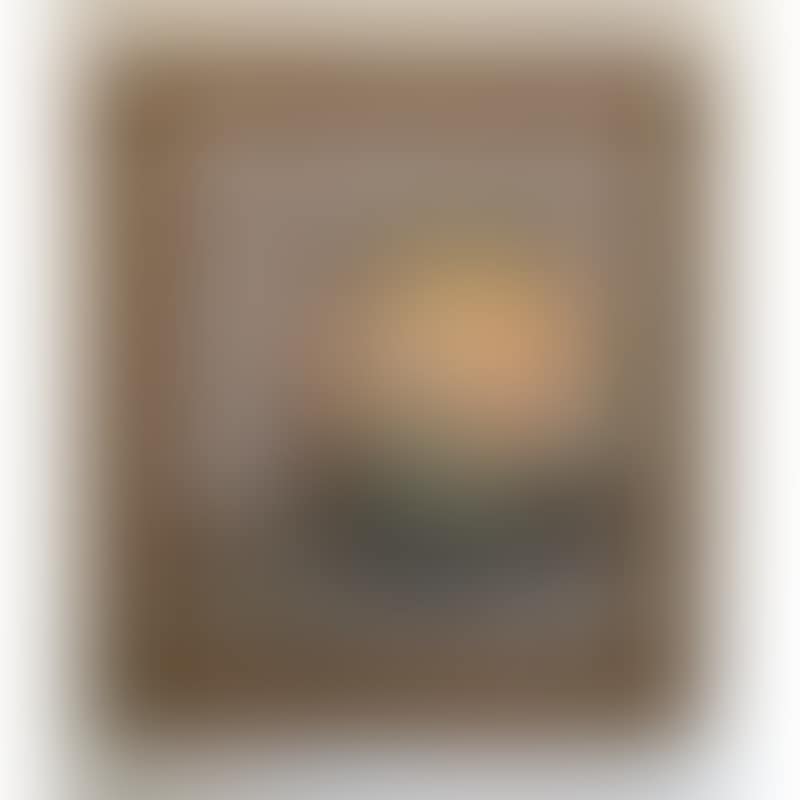 Wrapped Globe (preview)