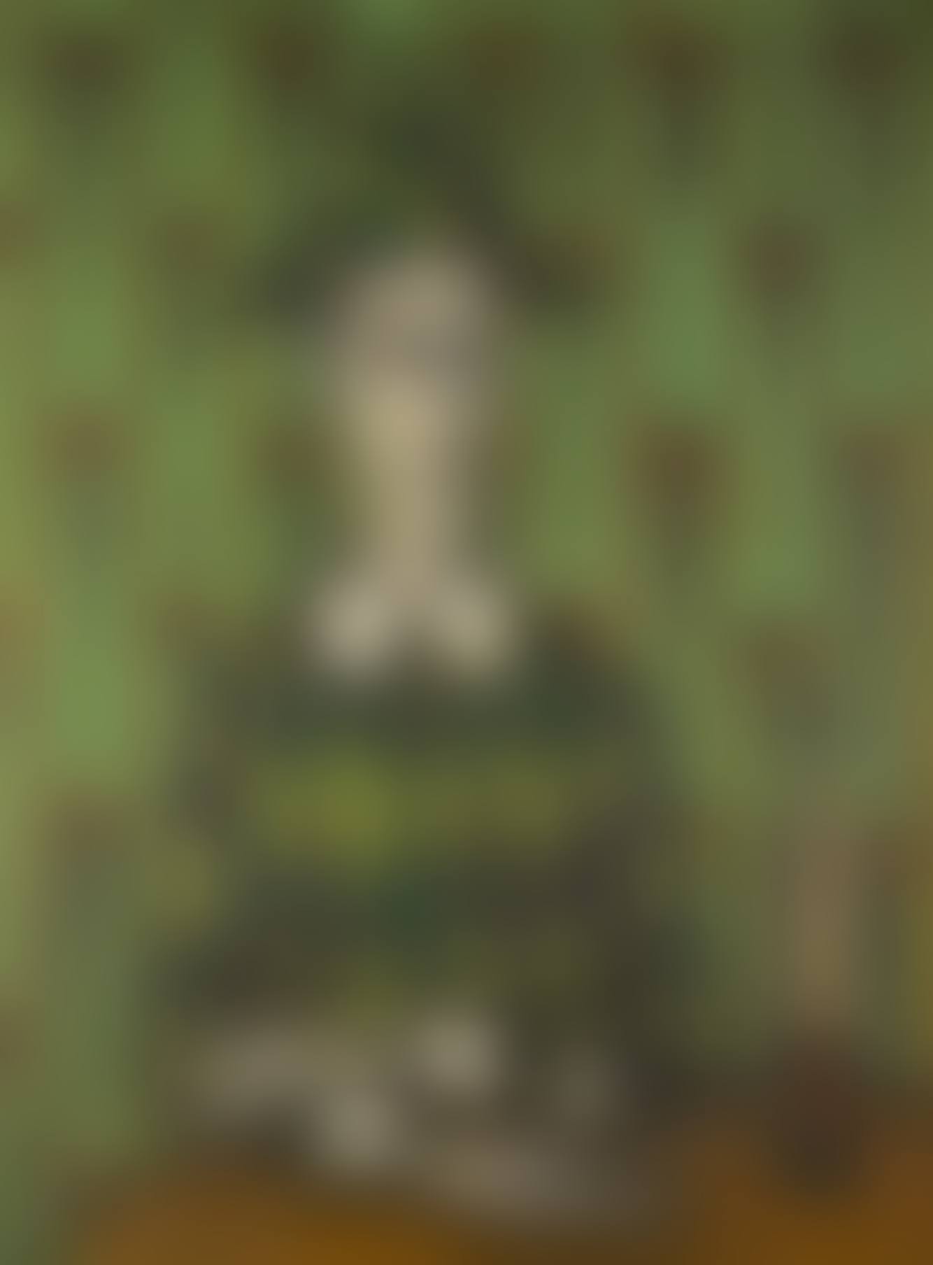 ARLEQUIN (preview)