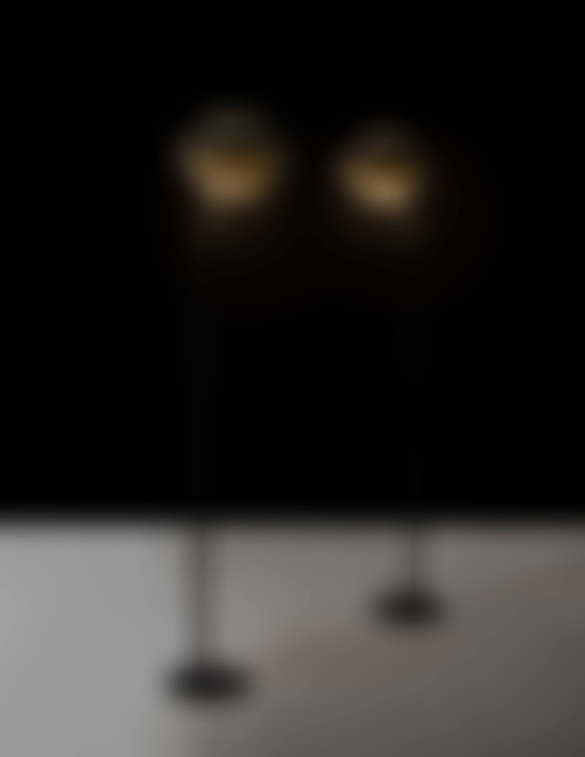 Paire de lampadaires mod. A808 (preview)