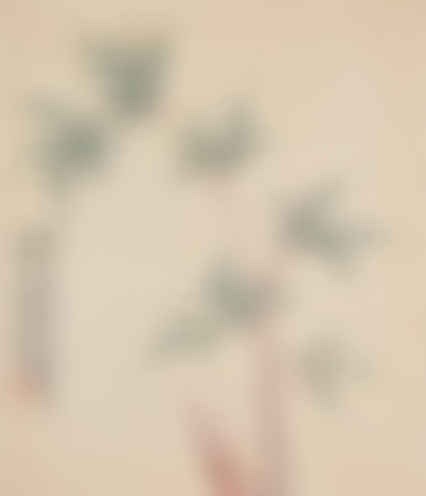 Bamboo (preview)