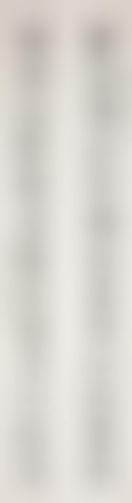 Calligraphy Couplet in Running Script (preview)