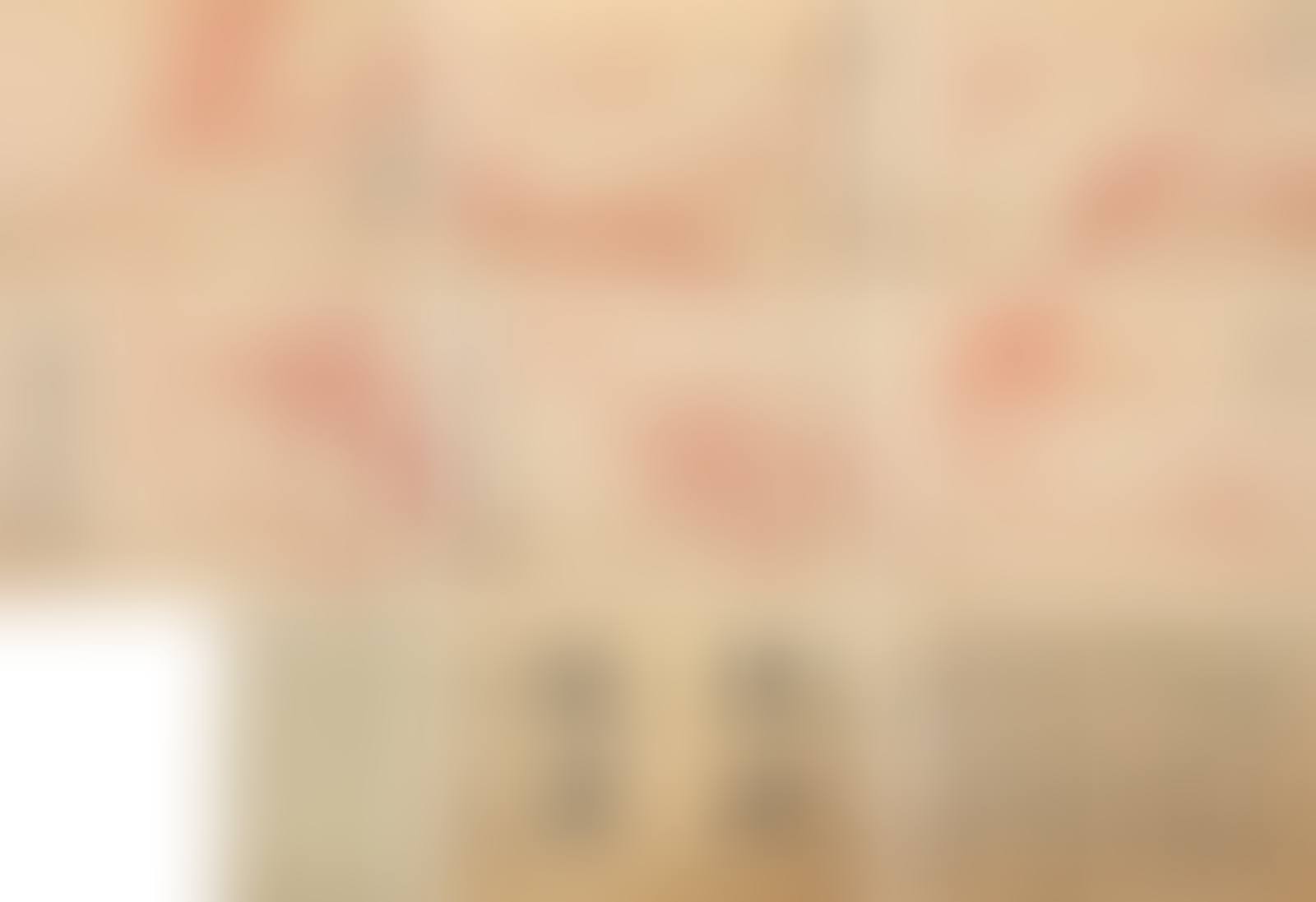 Plum Blossoms (preview)