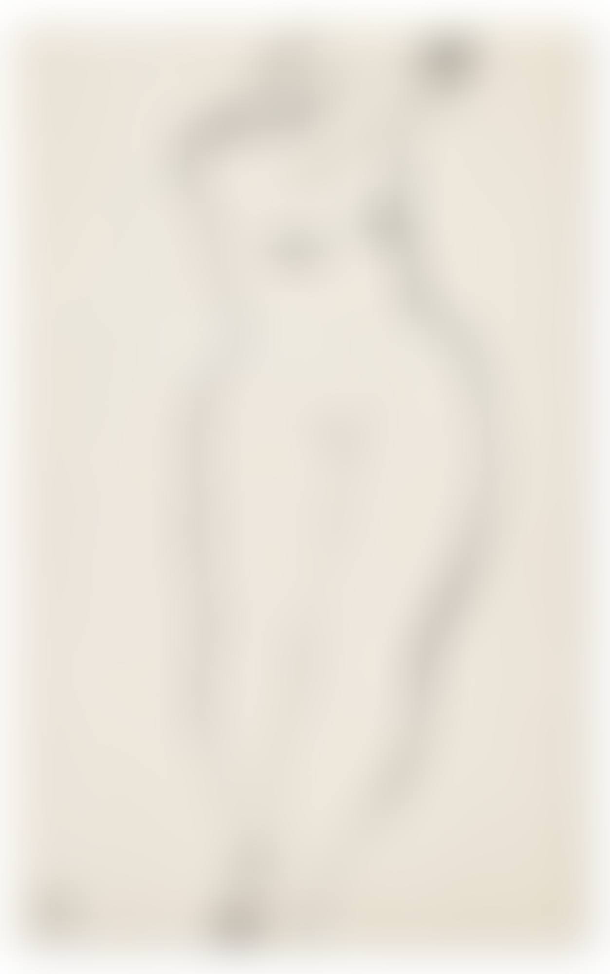 FEMME NUE (preview)