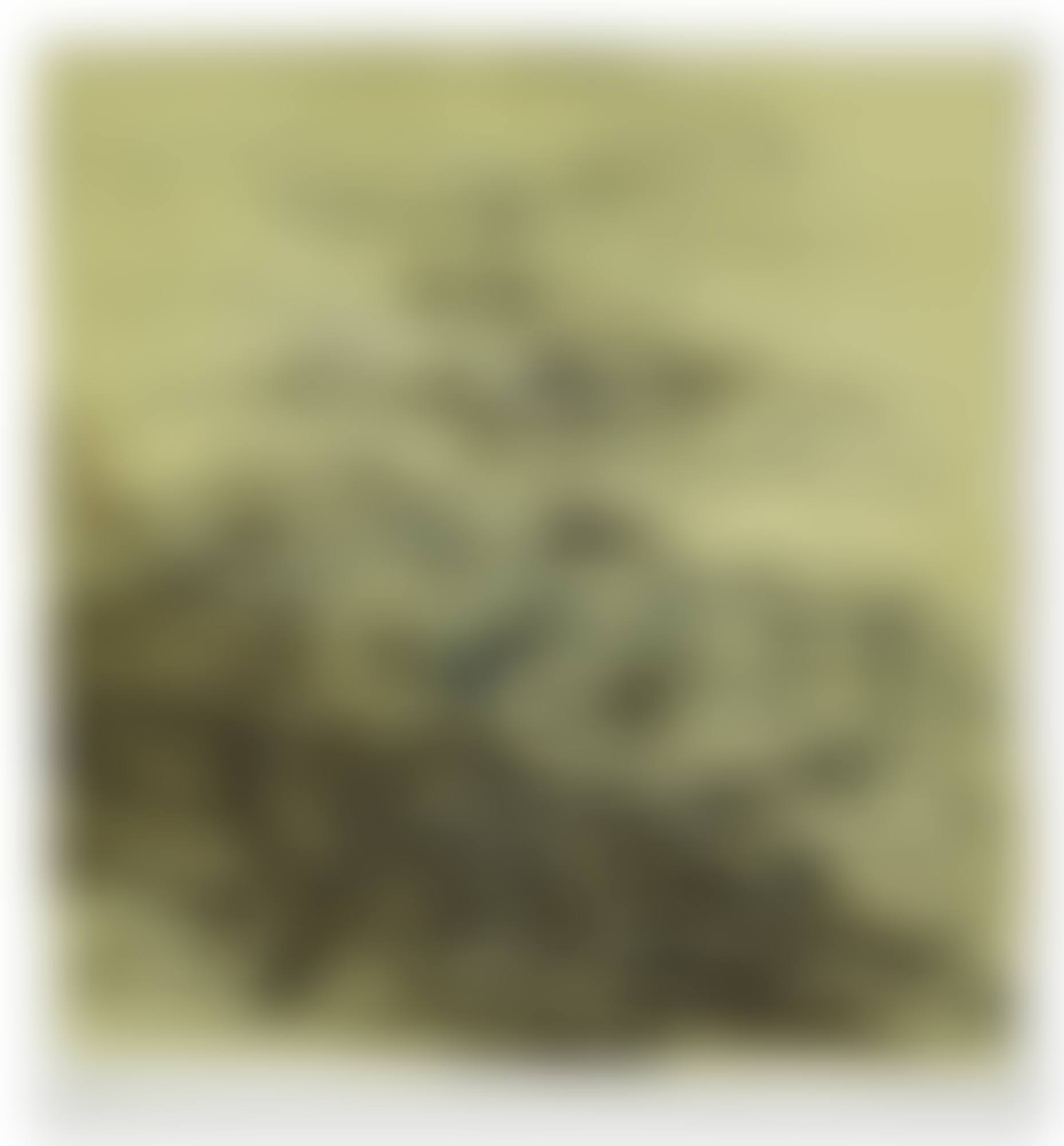 SANS TITRE (preview)