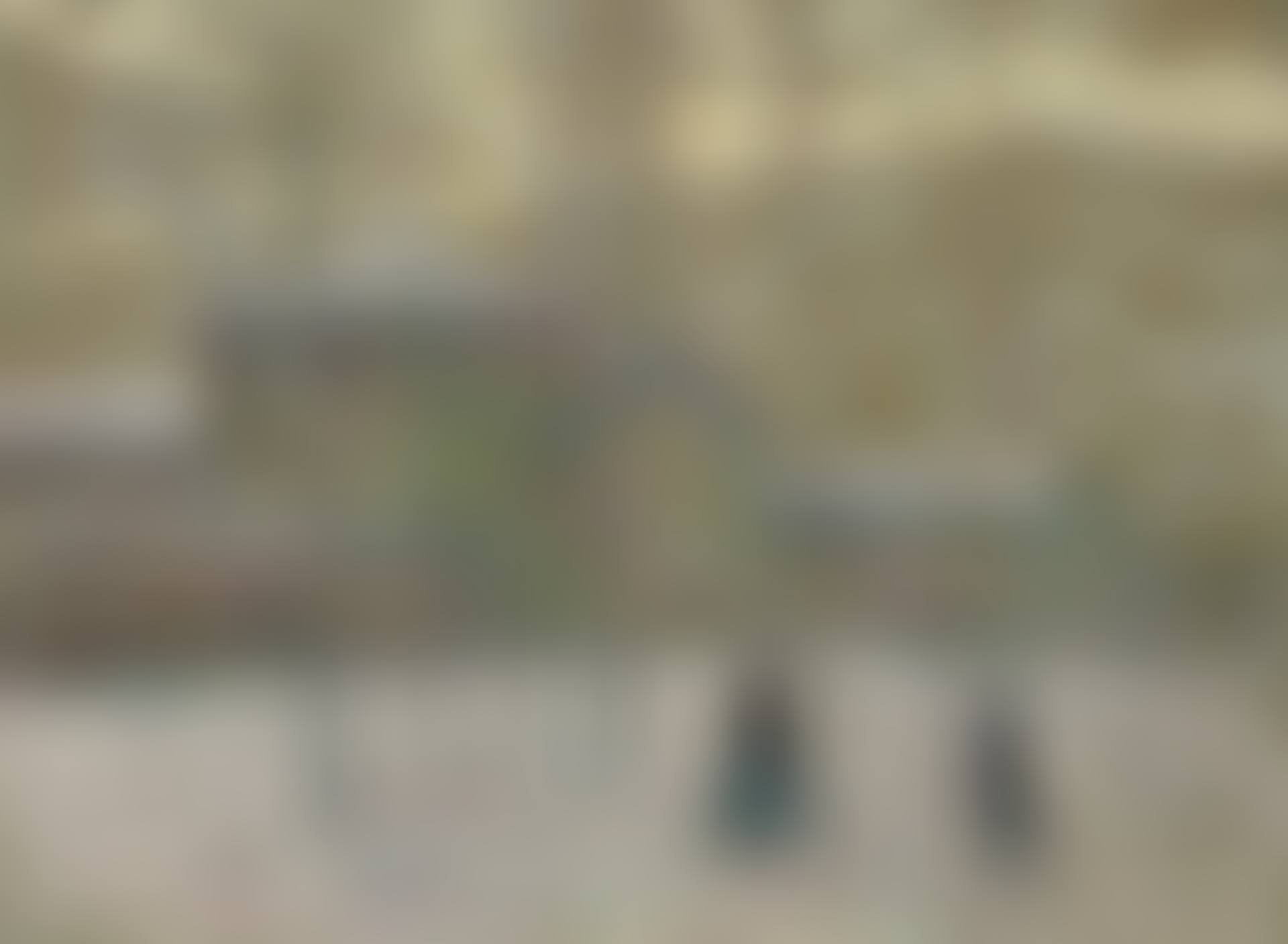 Paysage d'hiver (preview)