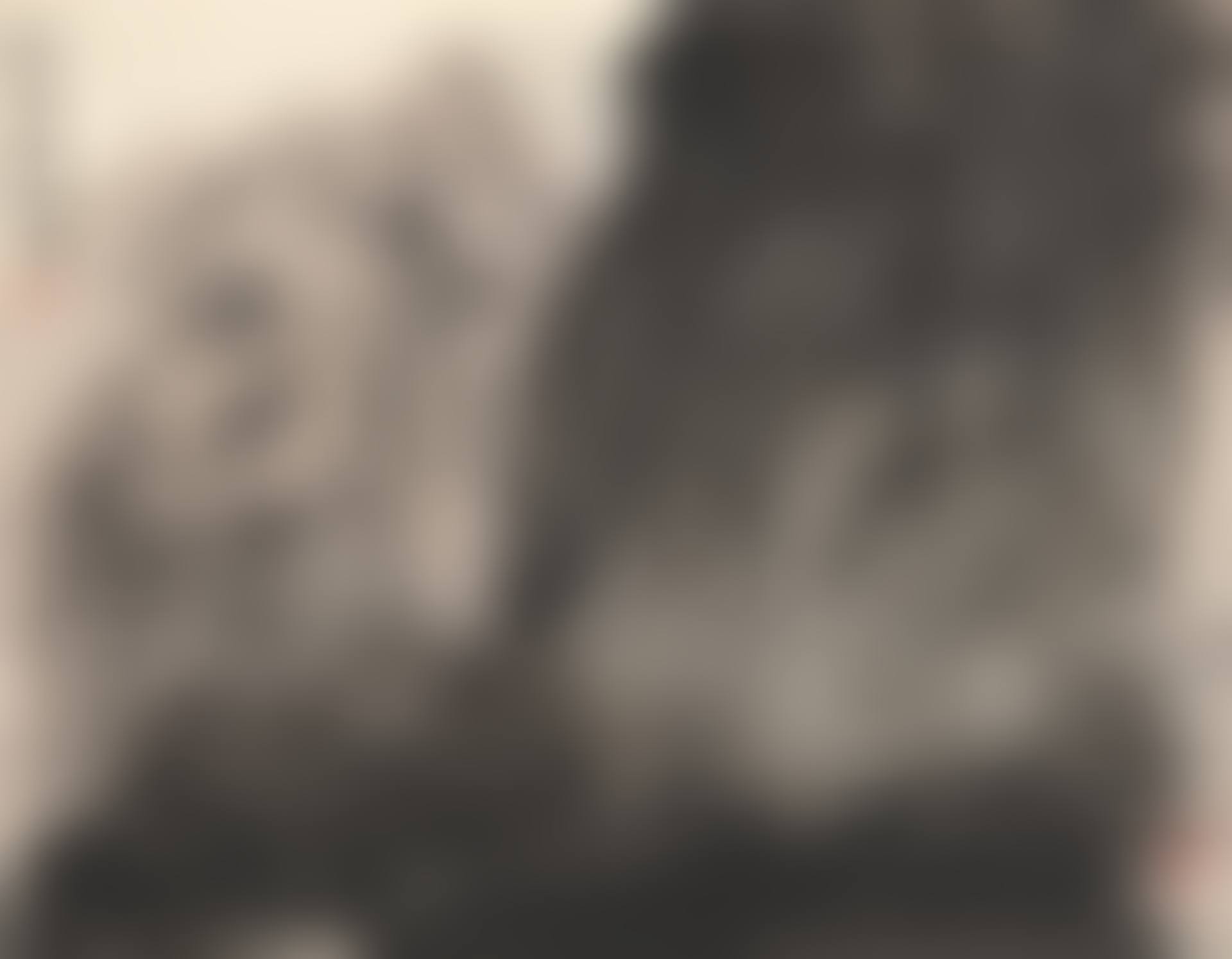 MOUNTAINS IN THE MIST (preview)