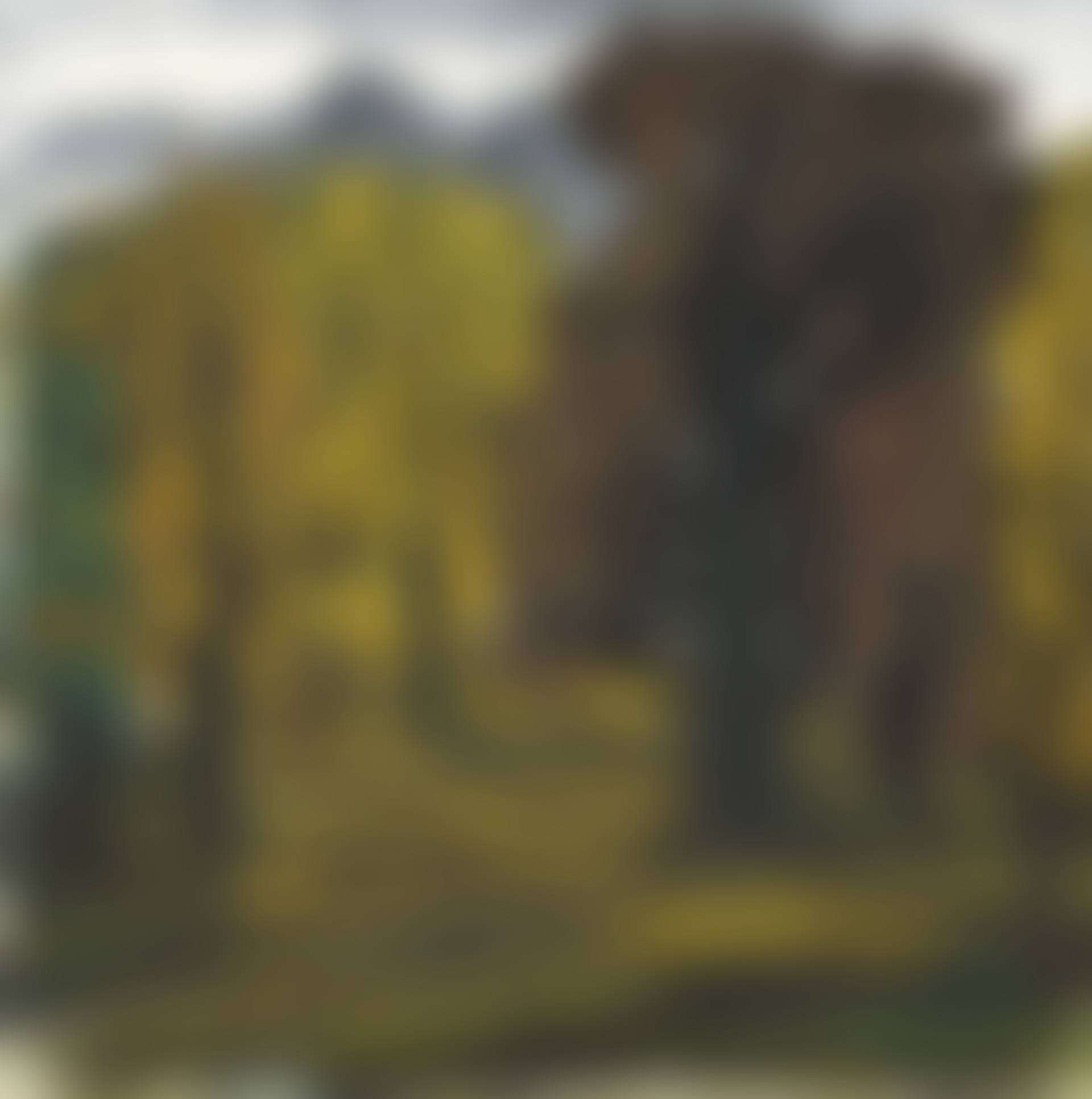 THE WOODS IN AUTUMN (preview)