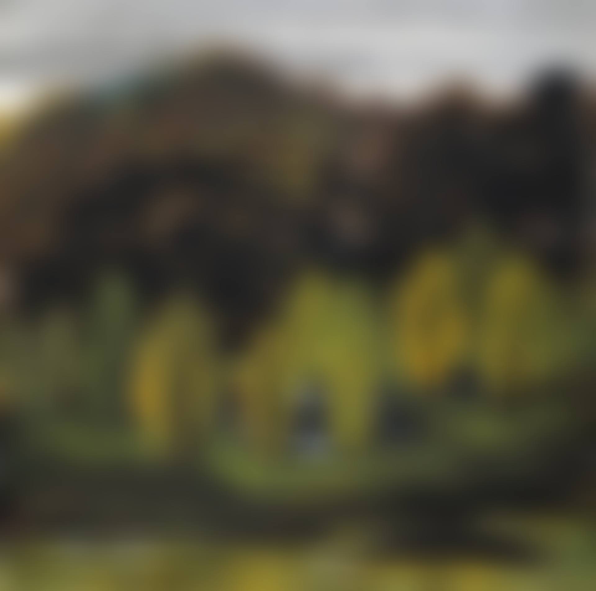 AUTUMN SCENERY (preview)