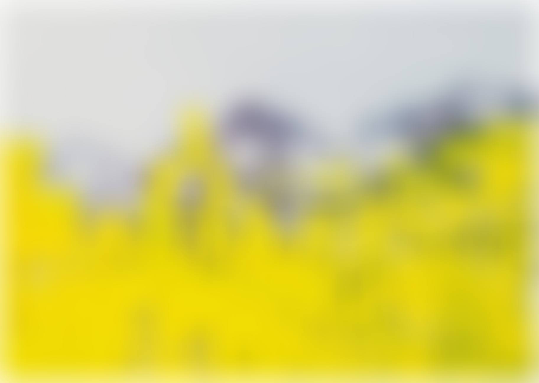 20.5.92 (preview)