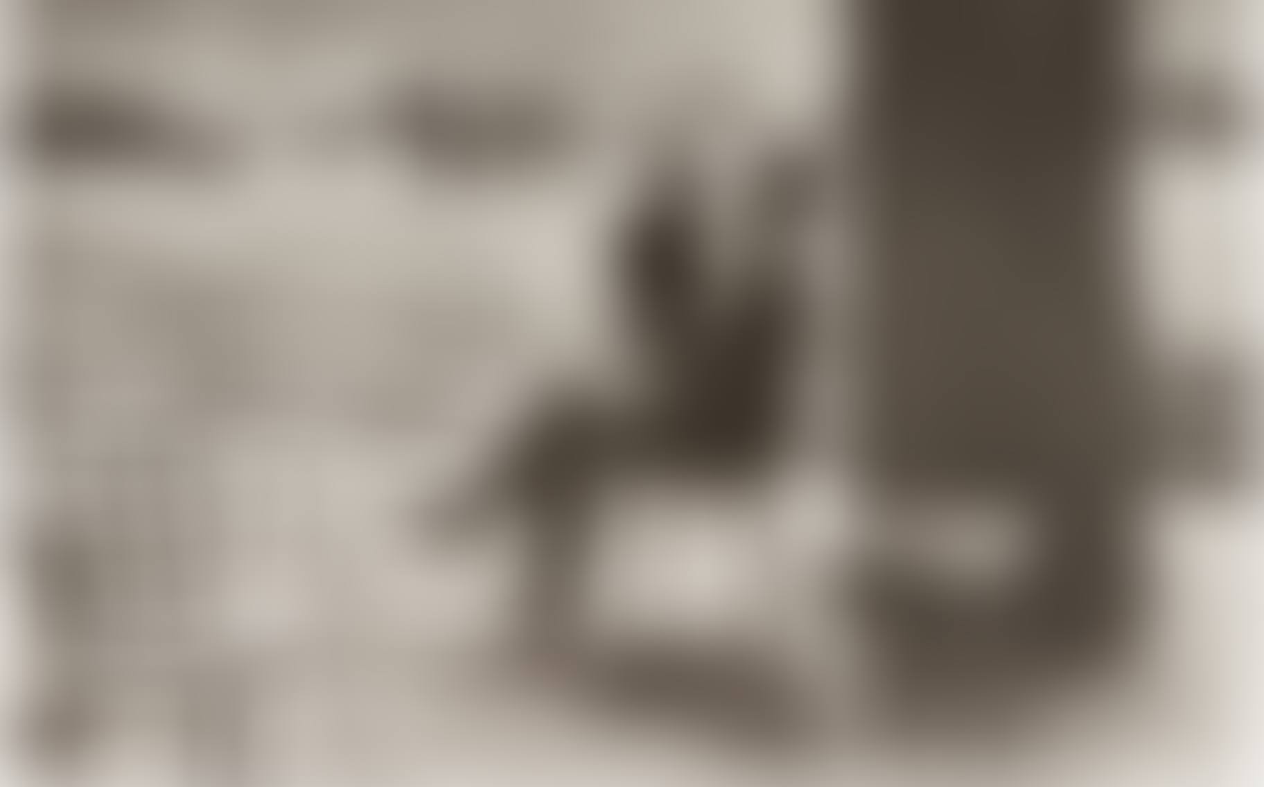 PARIS (preview)