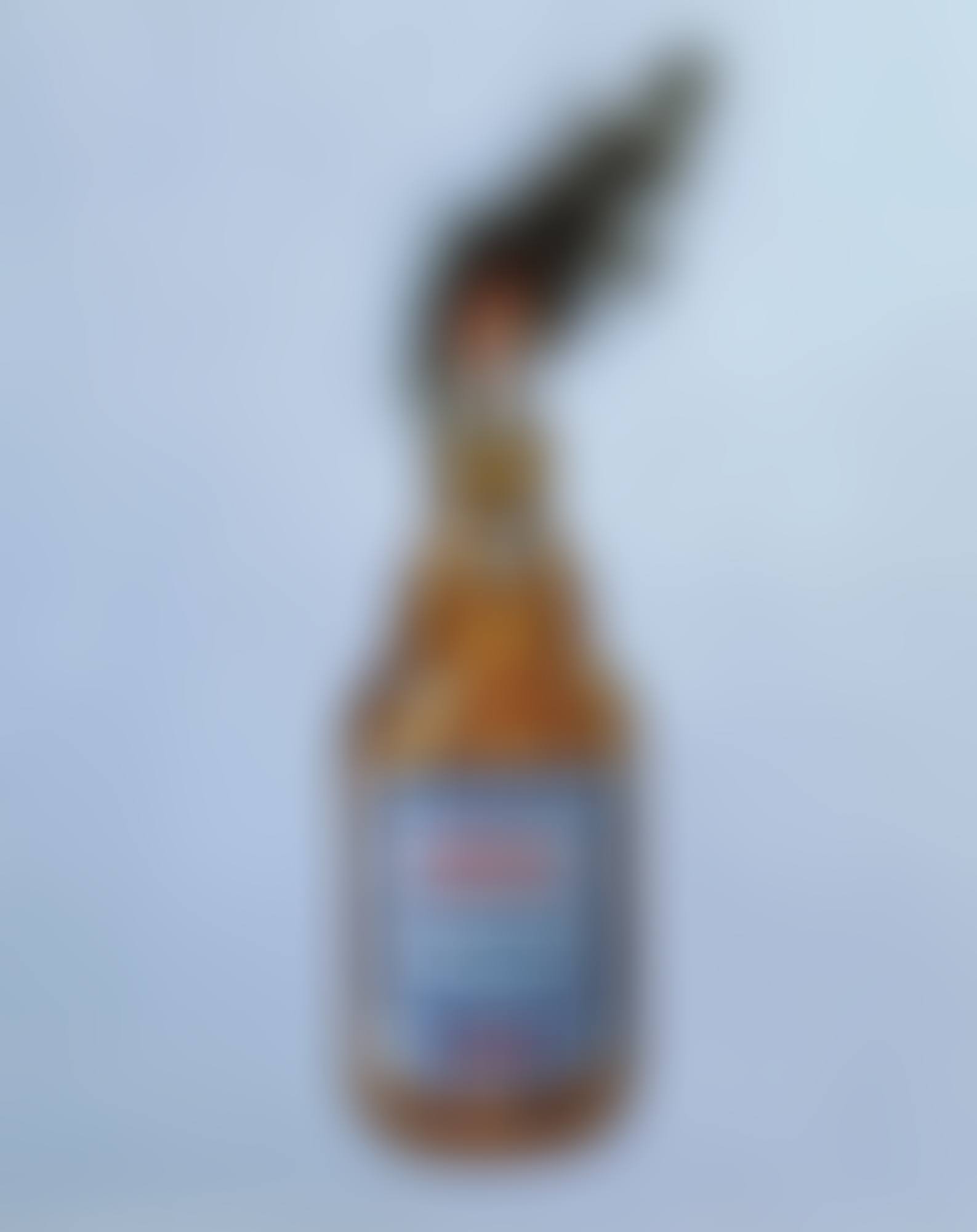 Petrol Bomb (preview)