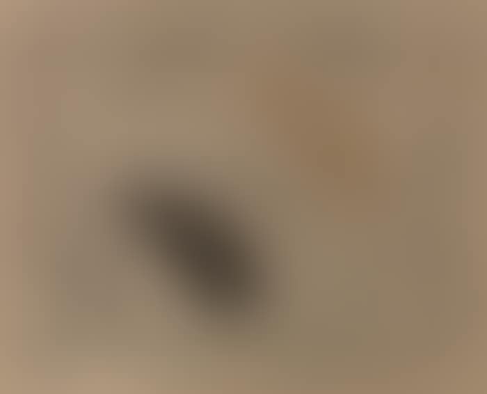 Recurrence (preview)