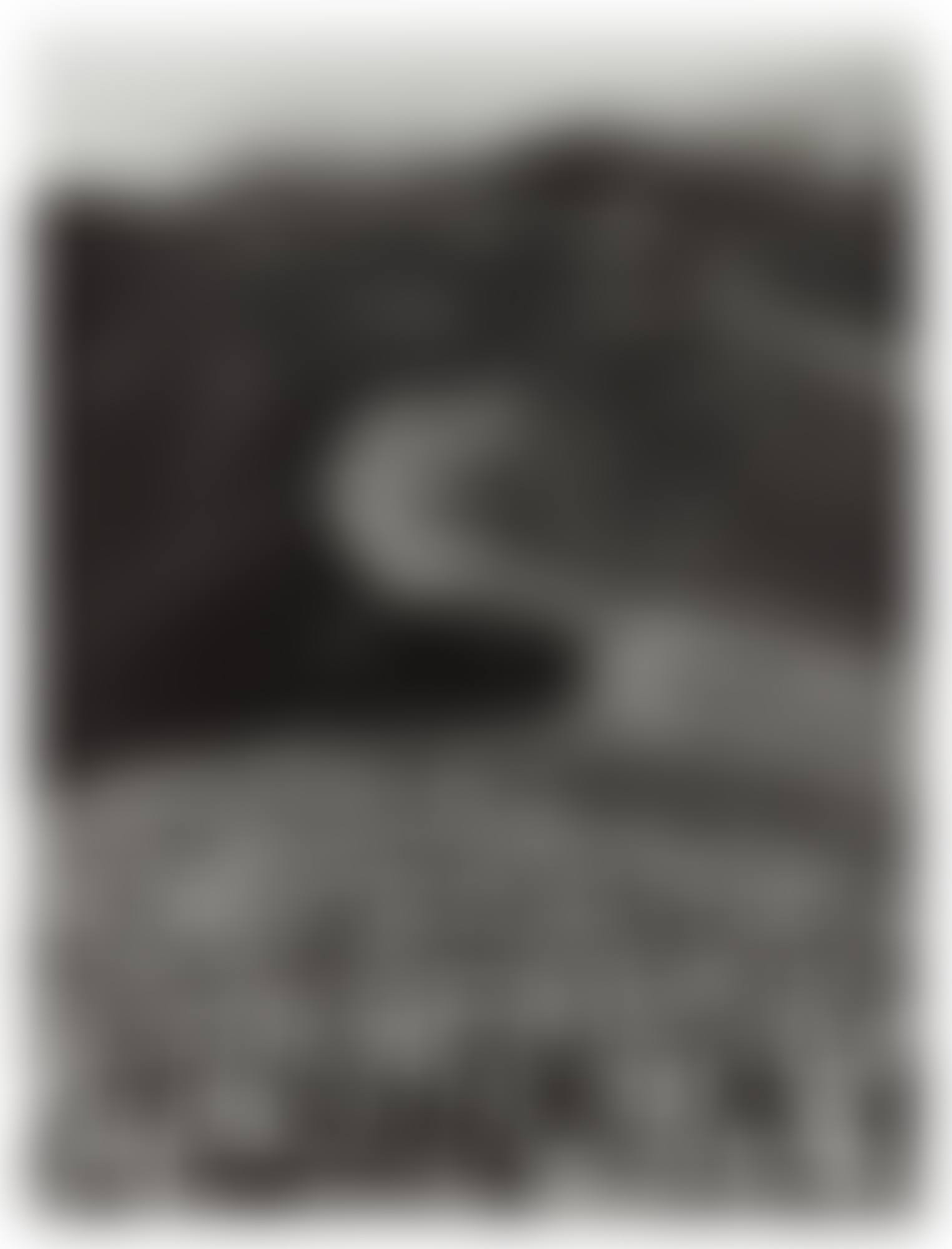 CHINSTRAP PENGUINS (PYGOSCELIS ANTARCTICA), DECEPTION ISLAND, ANTARCTICA (FROM GENESIS) (preview)